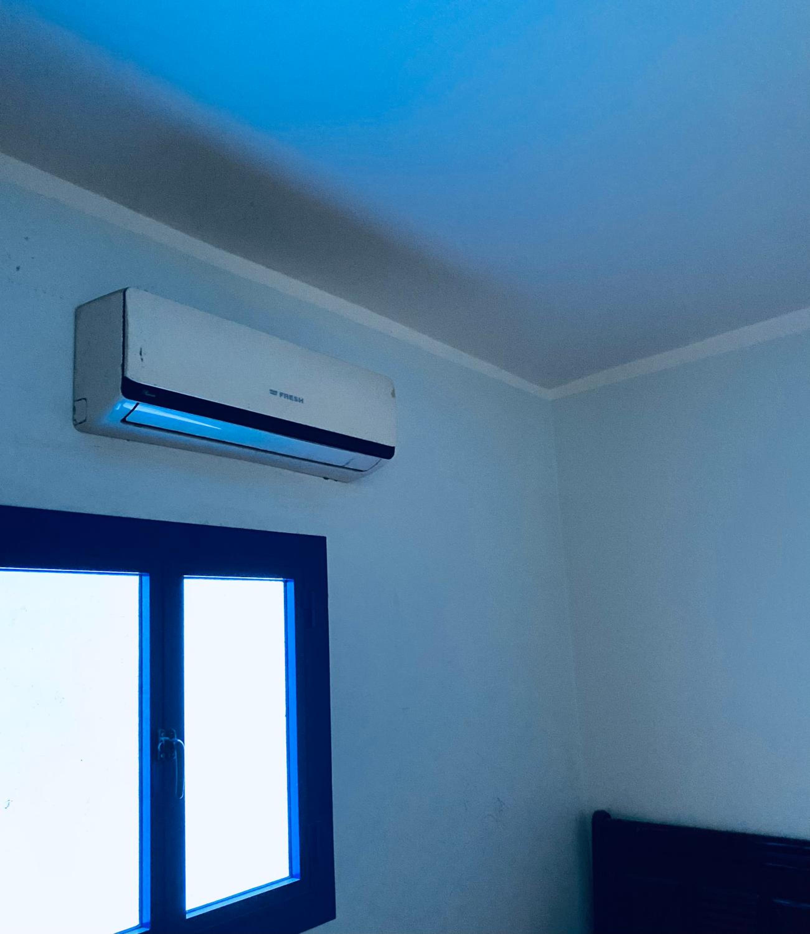 Cozy Apartment in Asyut