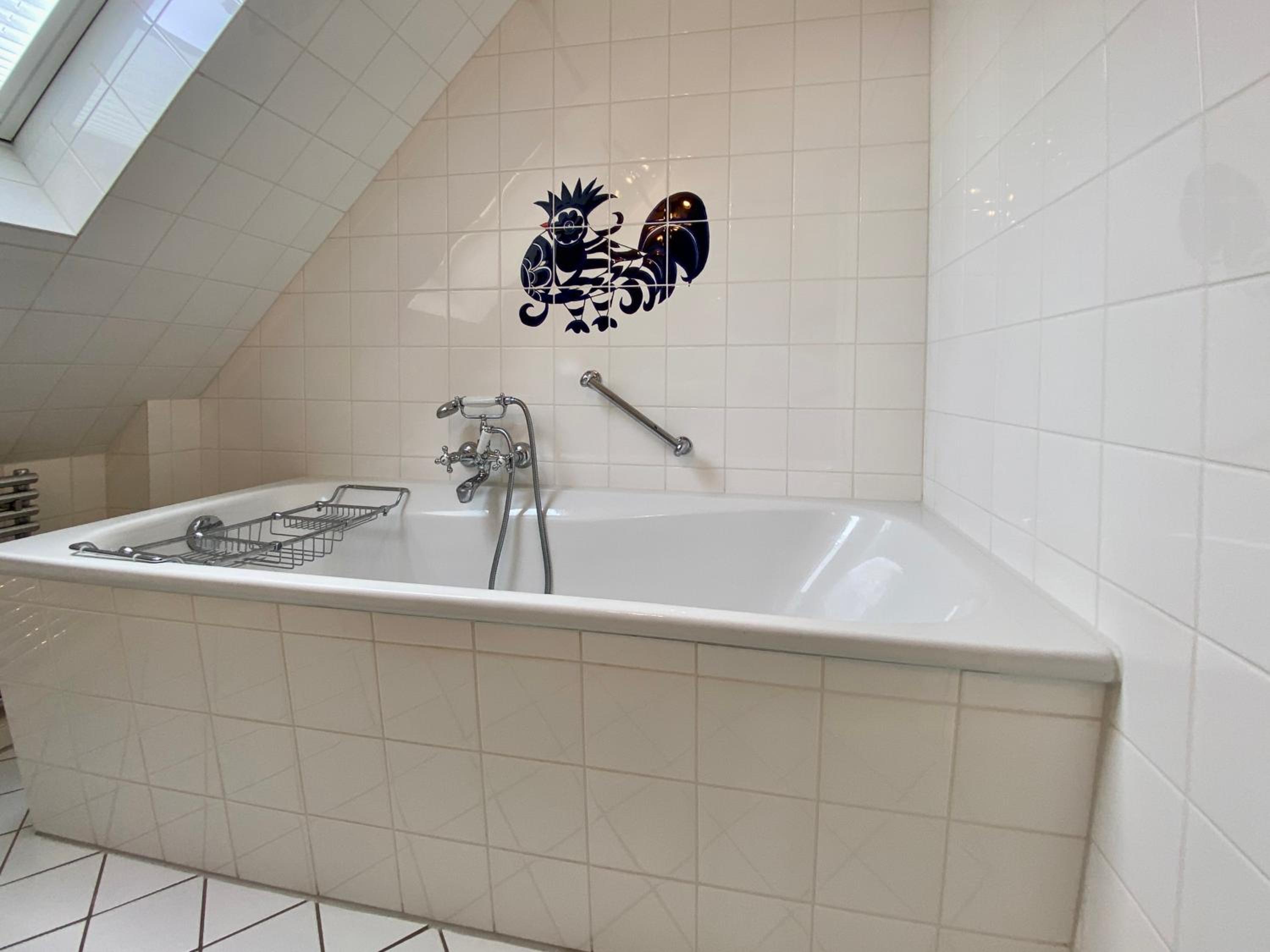 Biike en Schellinghörn — bathroom