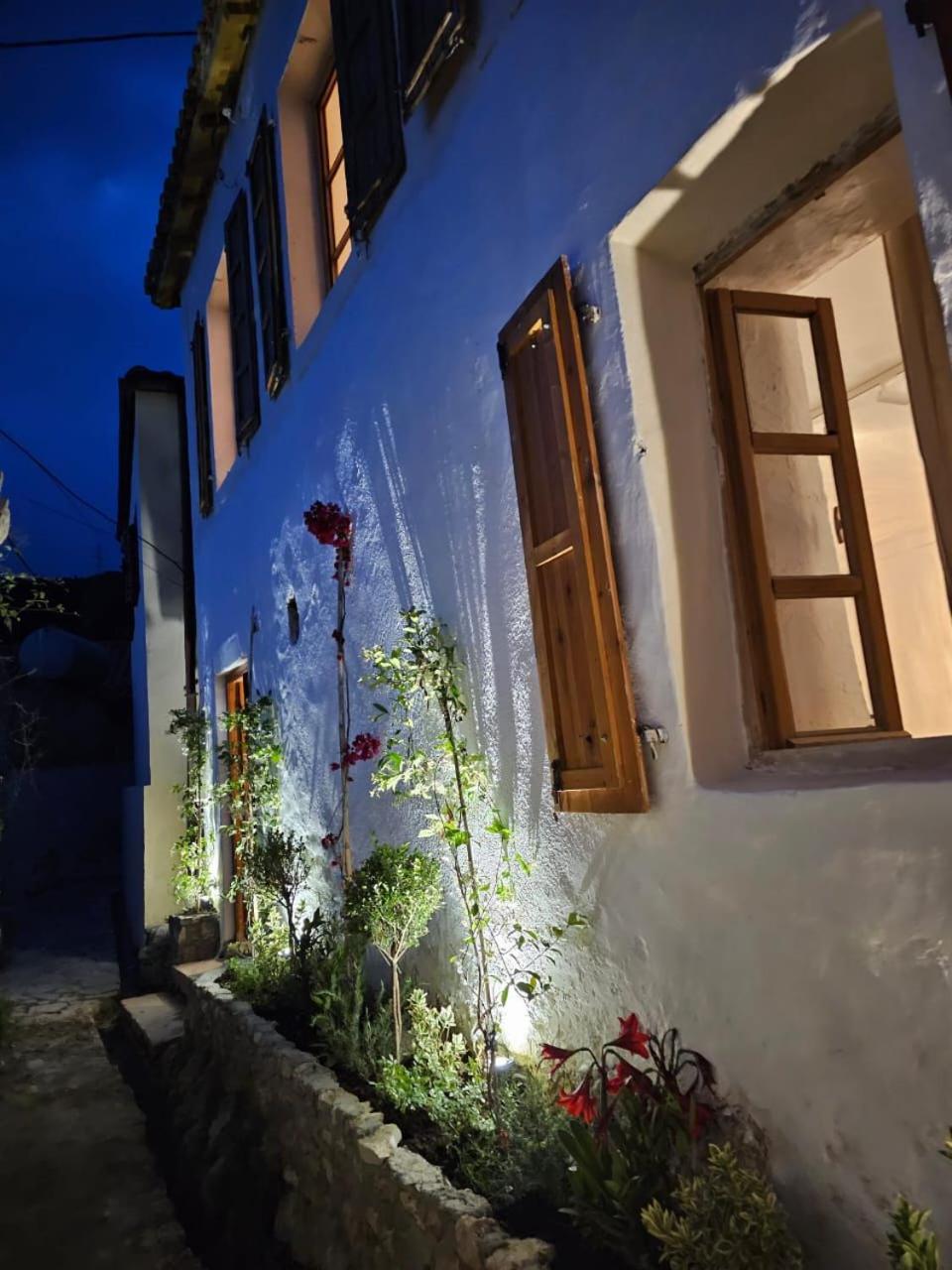 LION'S VILLA