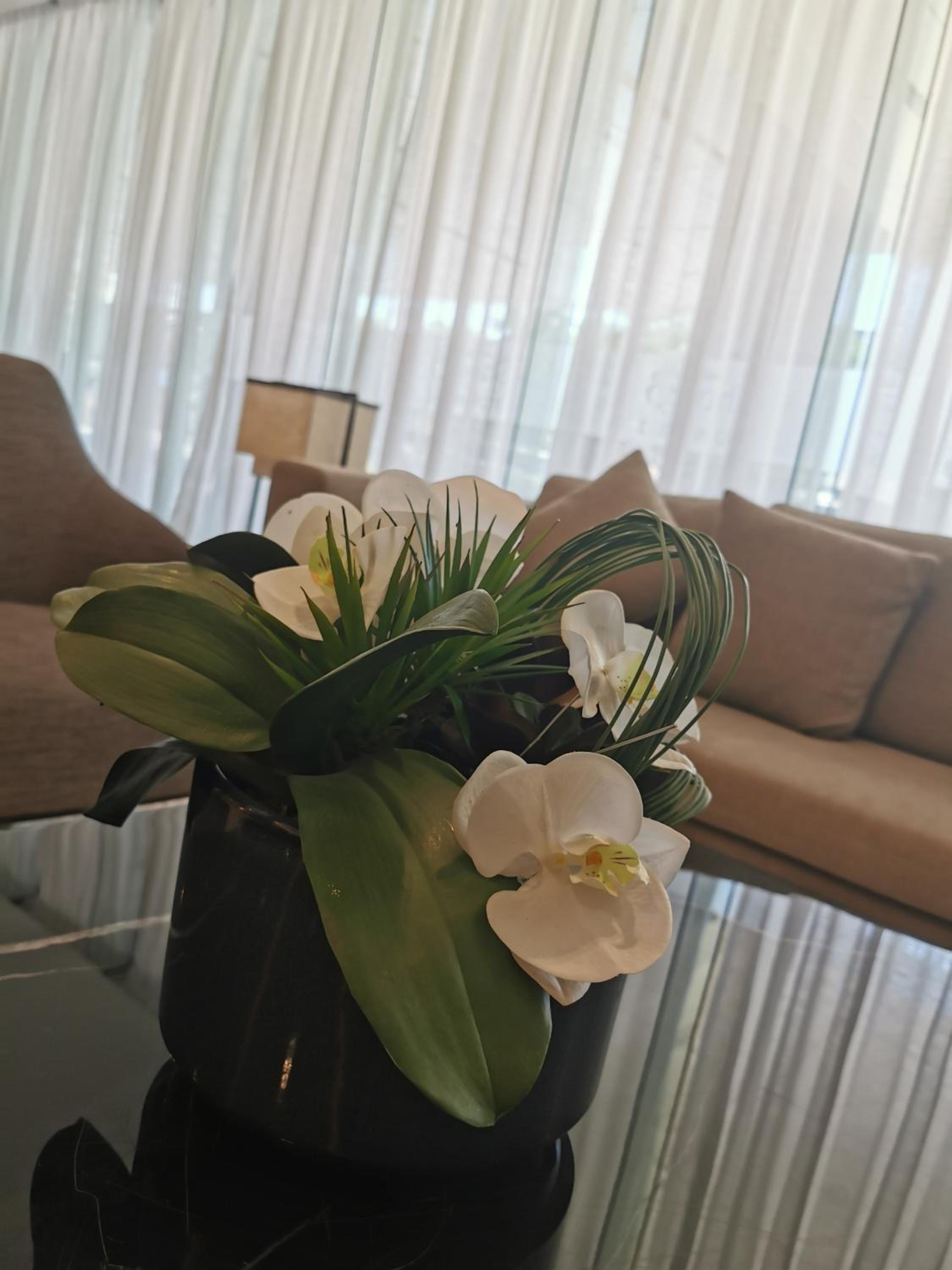 Moa shore 3 residence