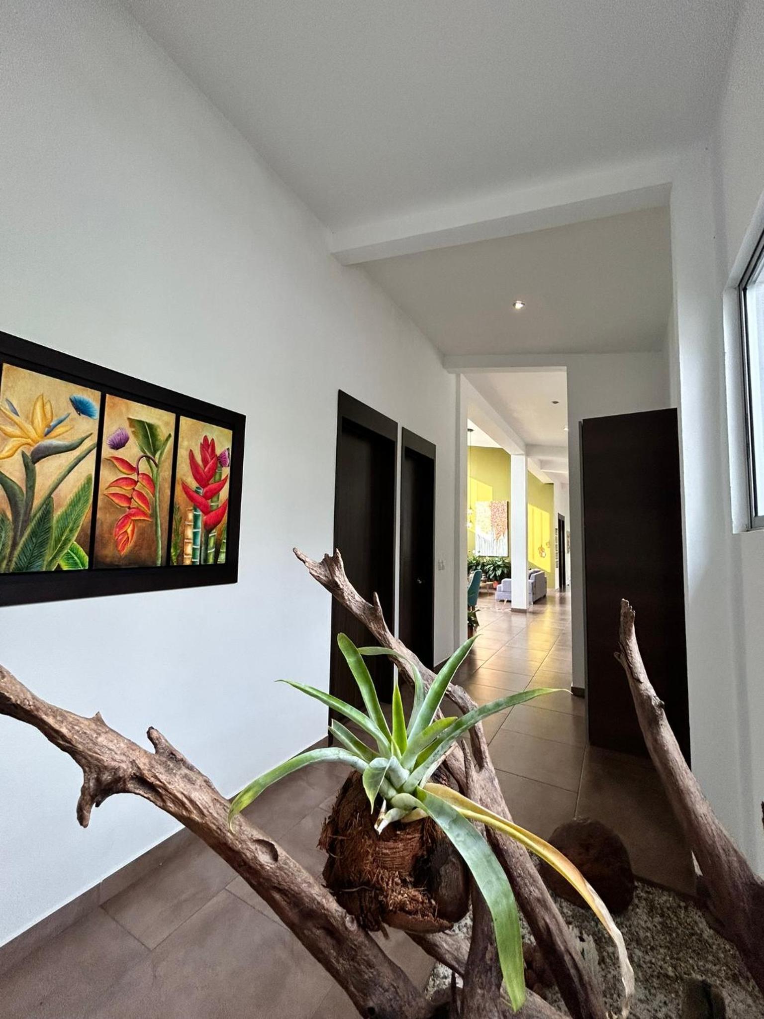 Wayra Natura, photo 46