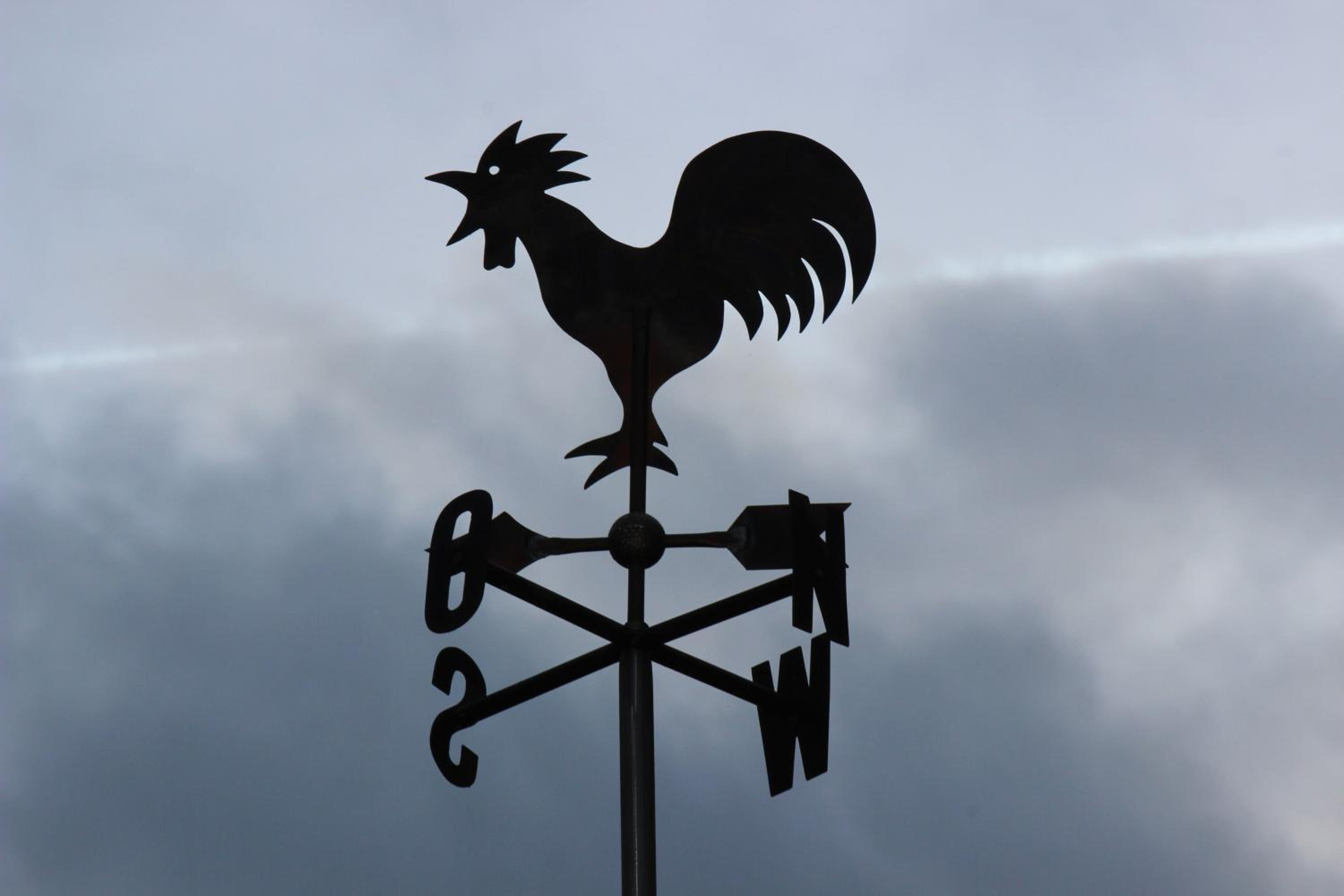 Pension Waldfrieden
