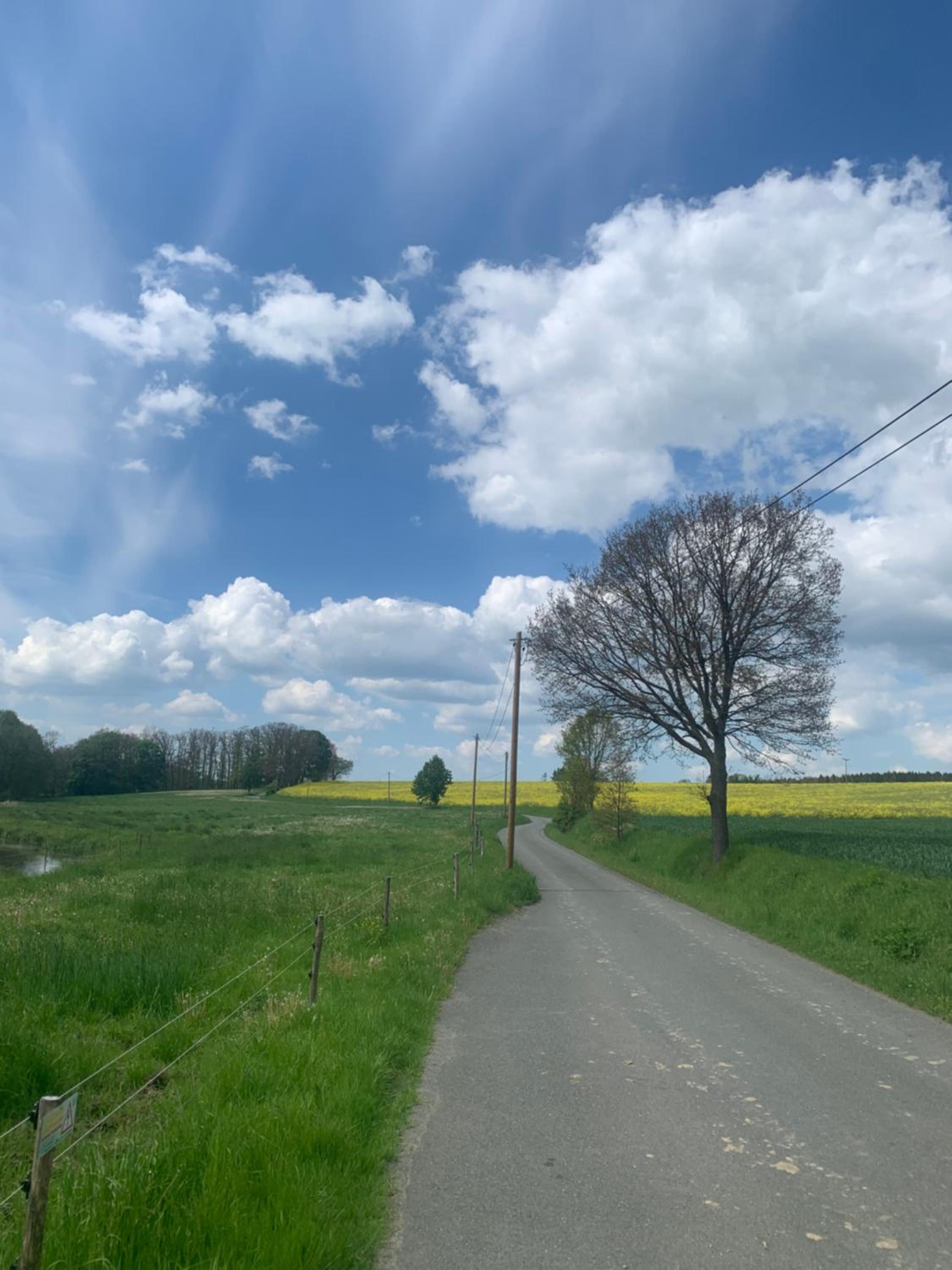 Gemütliche Ferienwohnung in idyllischer Lage-auf dem Land