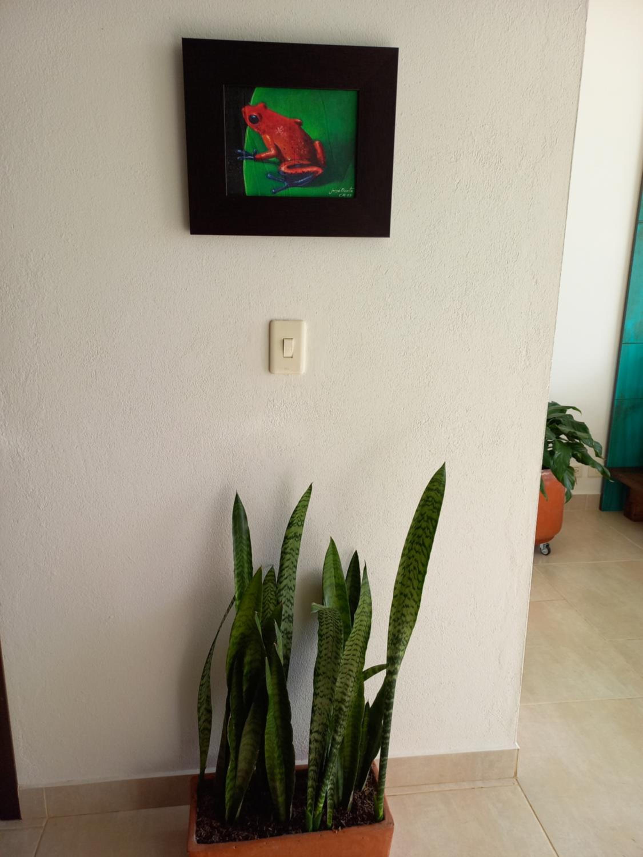 Wayra Natura, photo 124