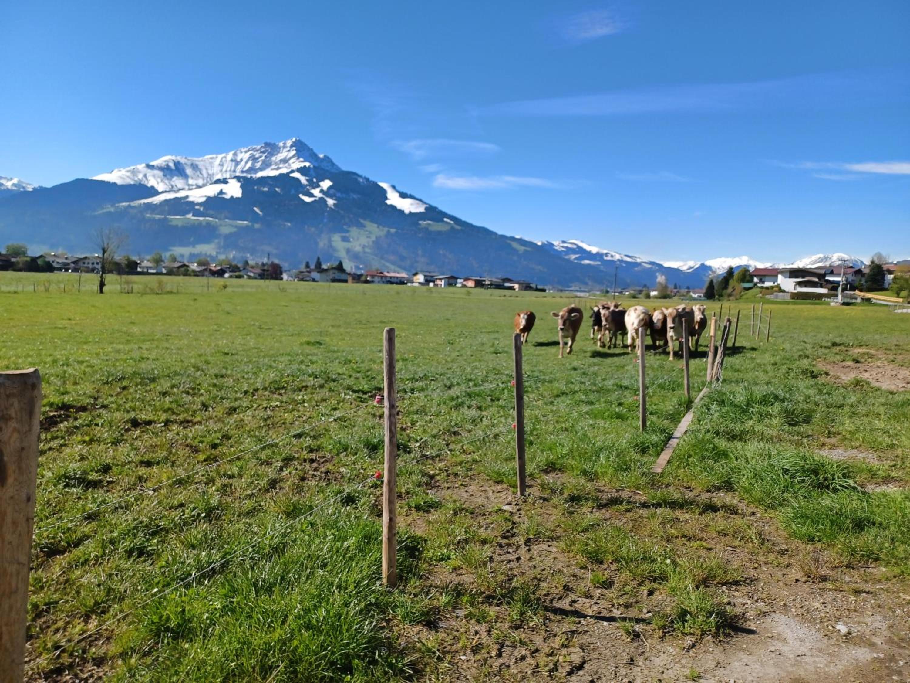 Lampererhof