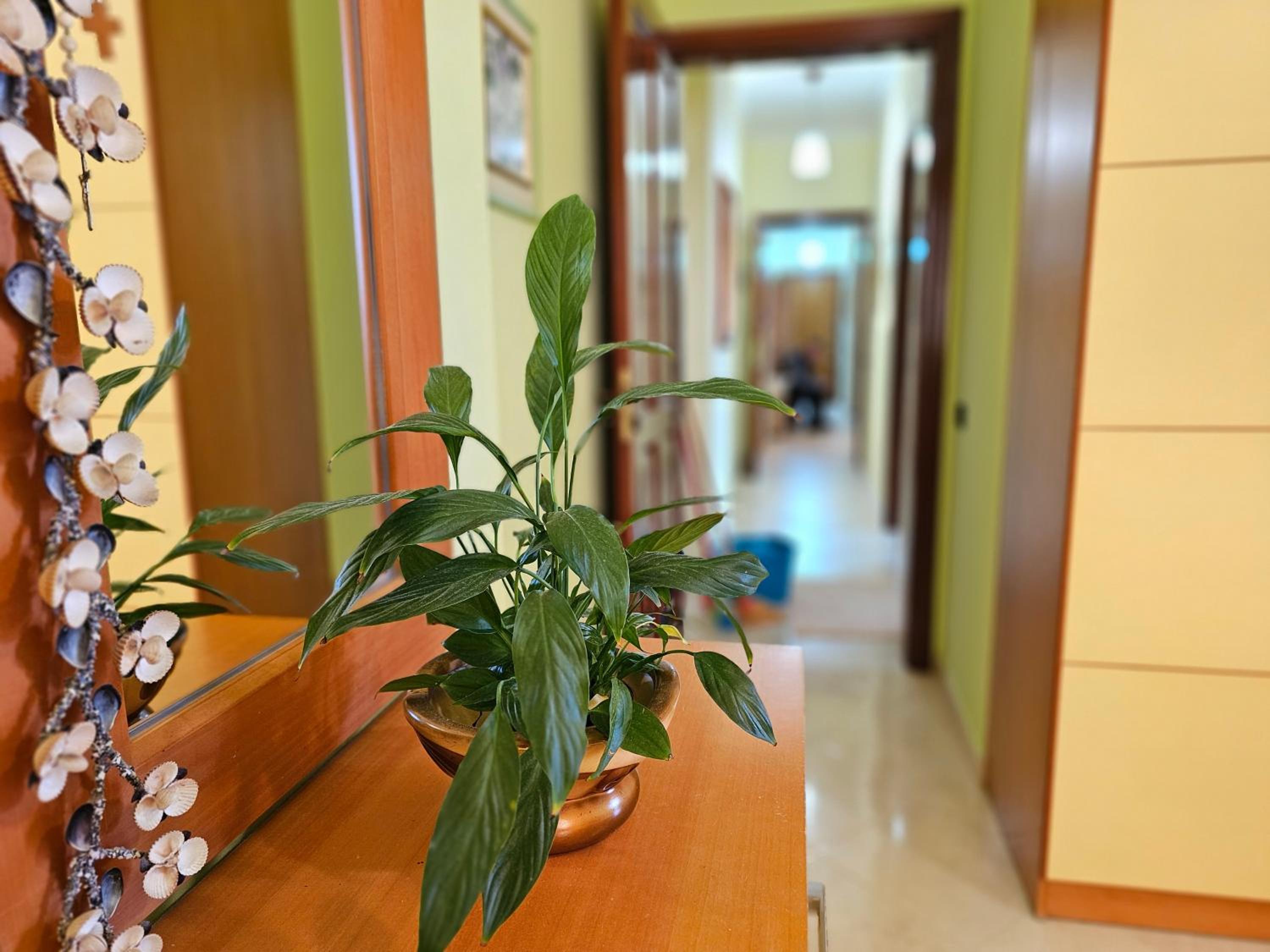 GEARD Apartament