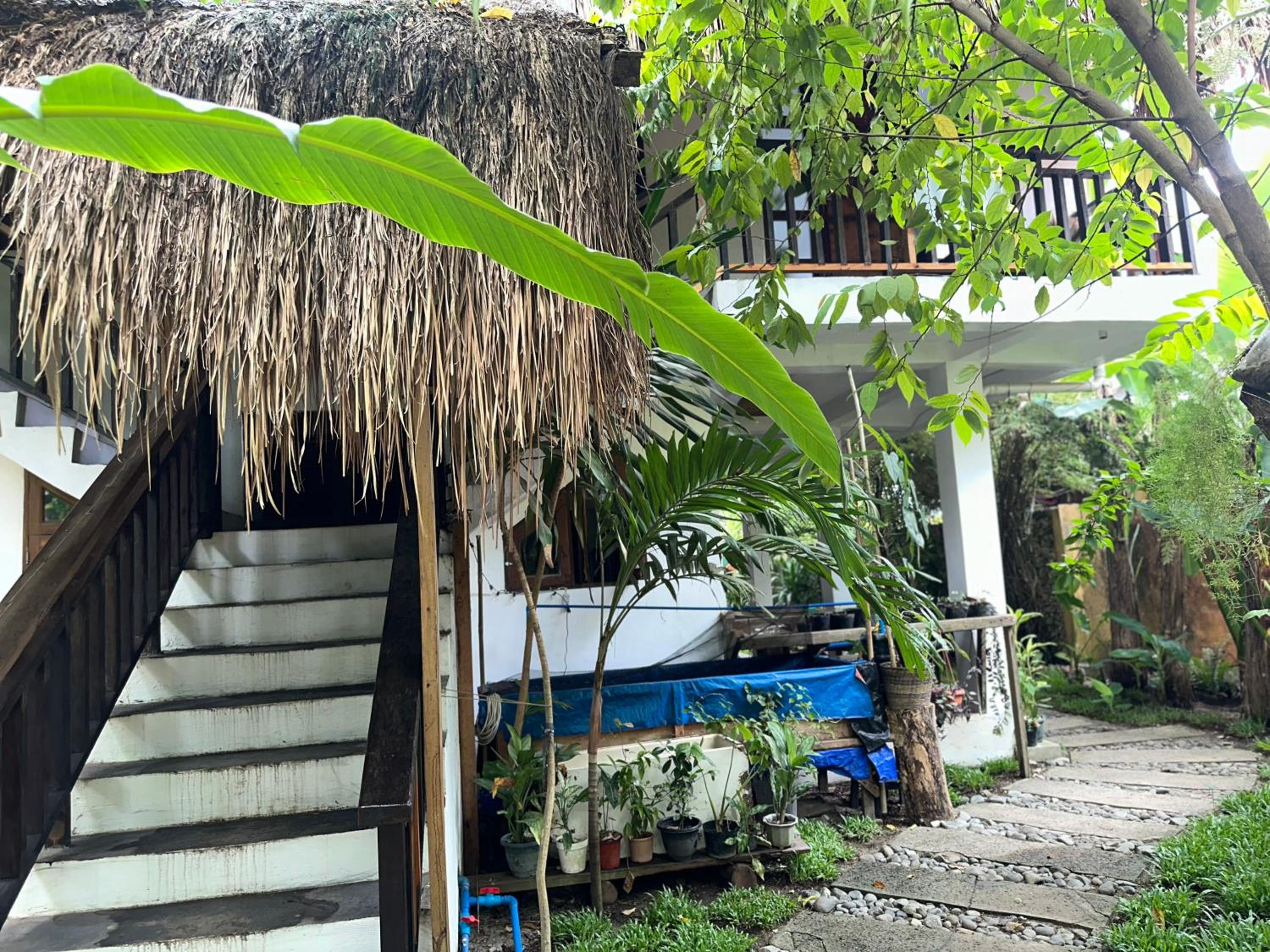 Two Storey House or Entire House