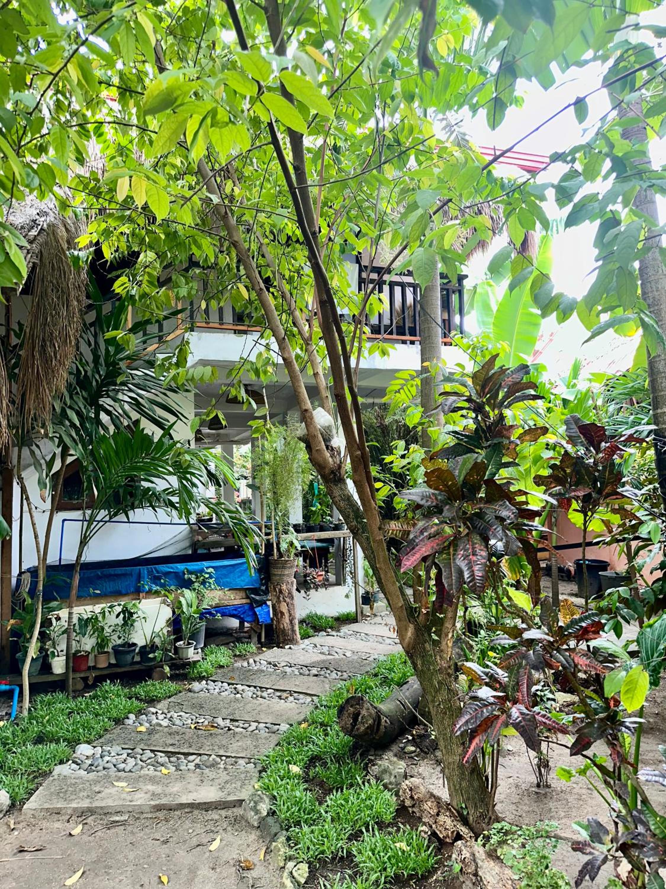 Two Storey House or Entire House
