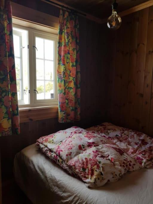 Photo 42