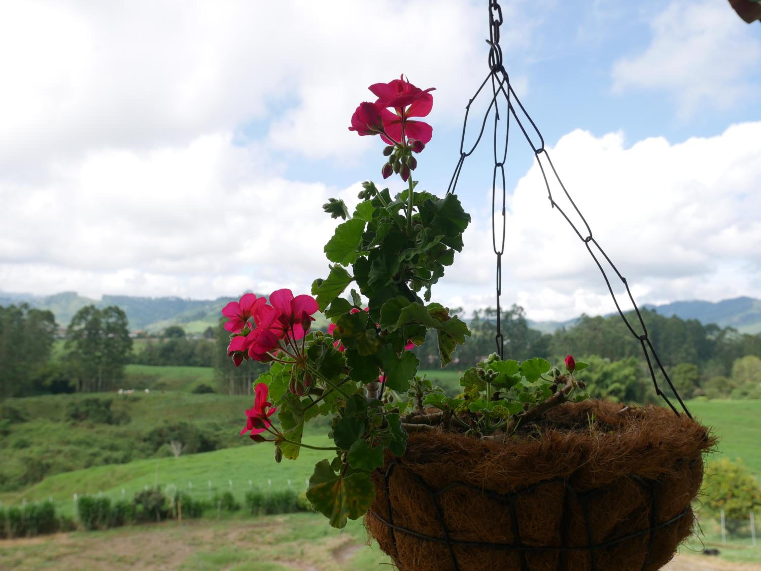 Finca El Ovito