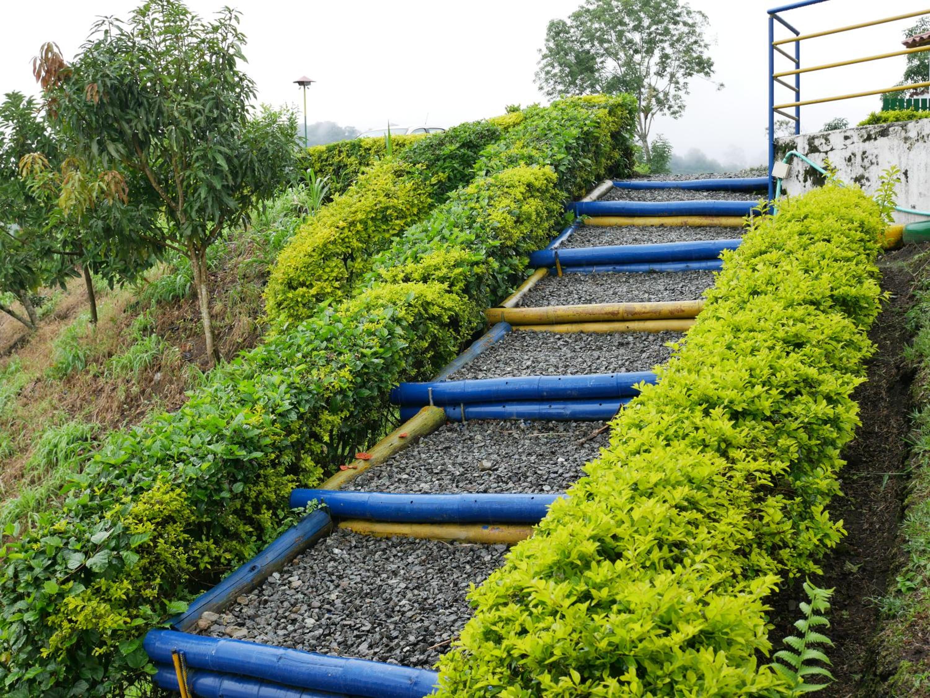 Finca El Ovito