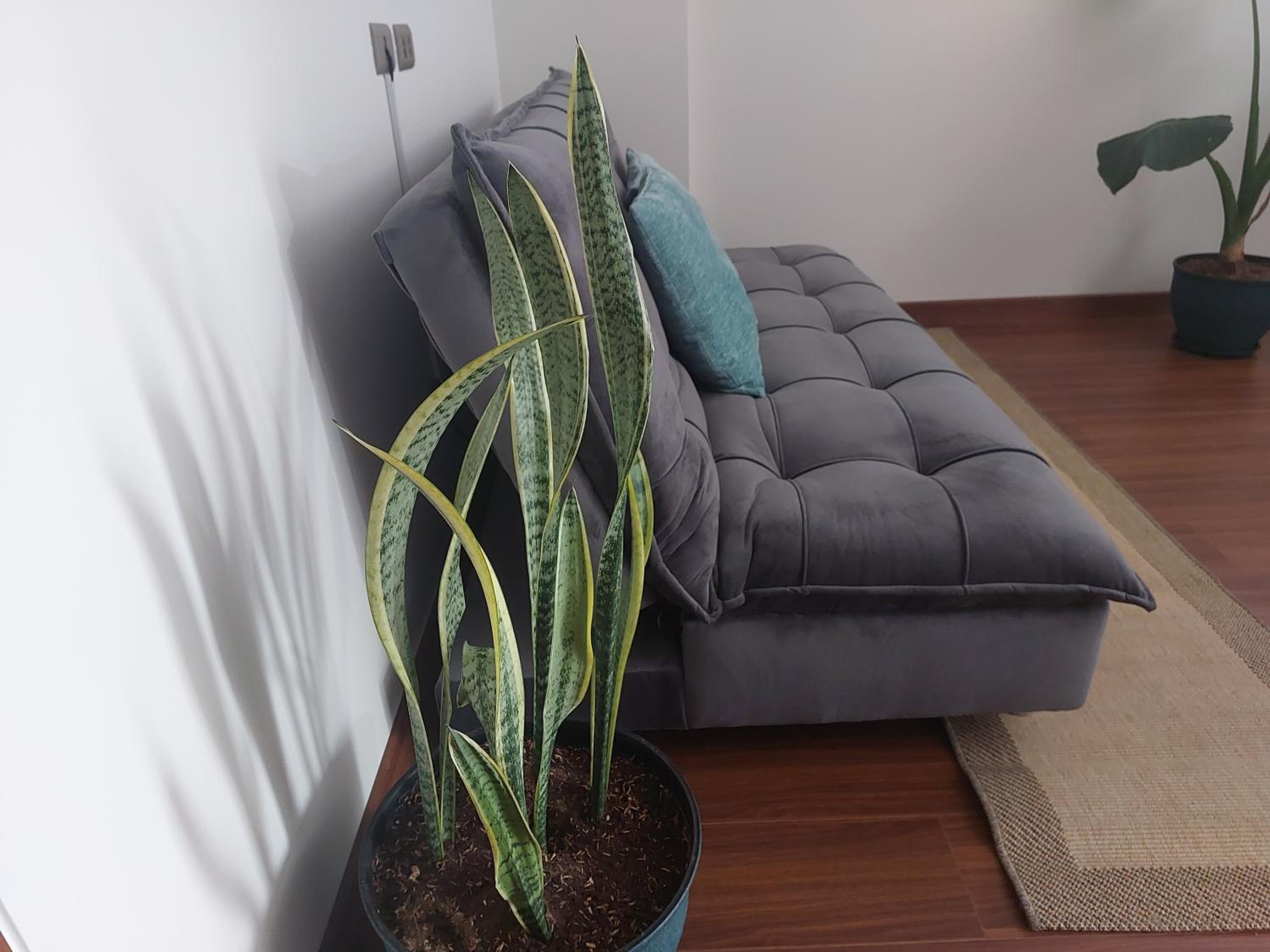 Departamento de Lujo con Piscina