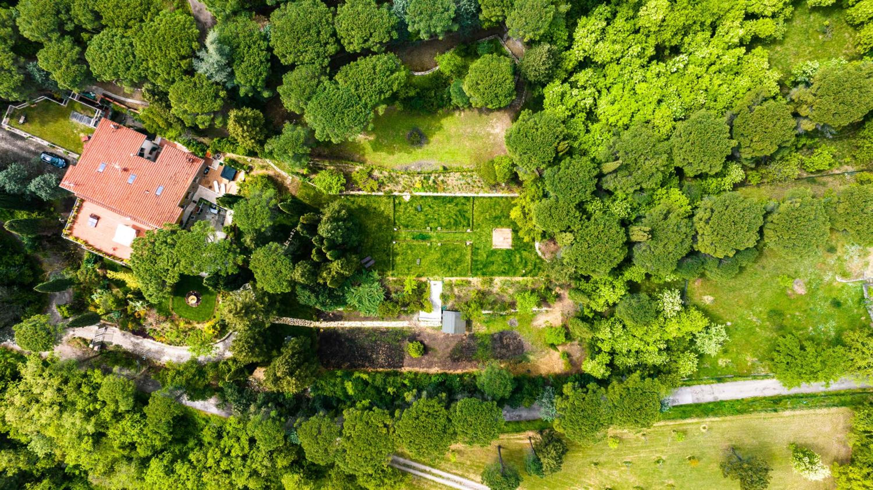 Majestic Villa in Hills of Florence with Gardens Gym Jacuzzi and Sauna