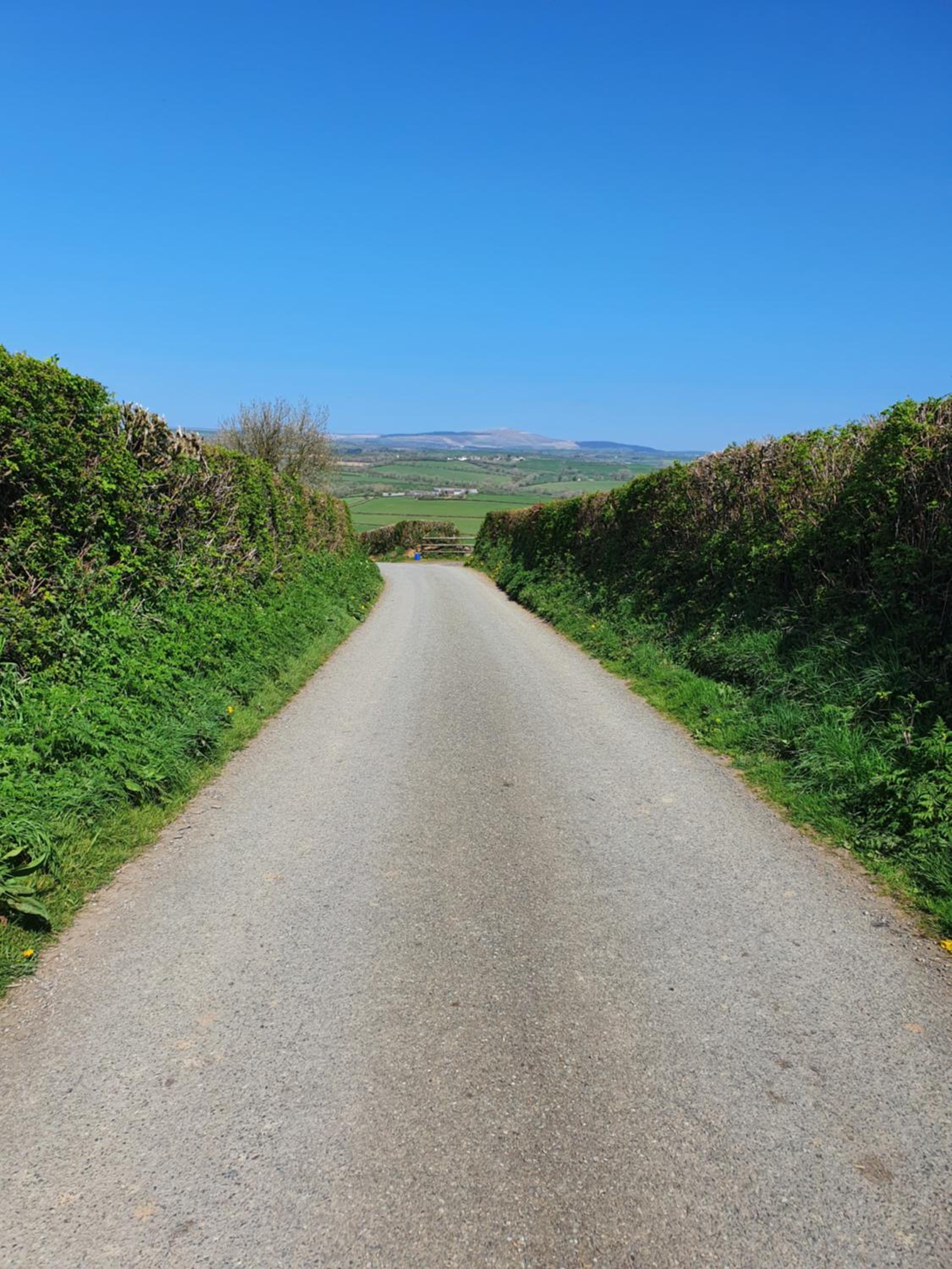 Escape to Pembrokeshire - charming spacious cottage view 5