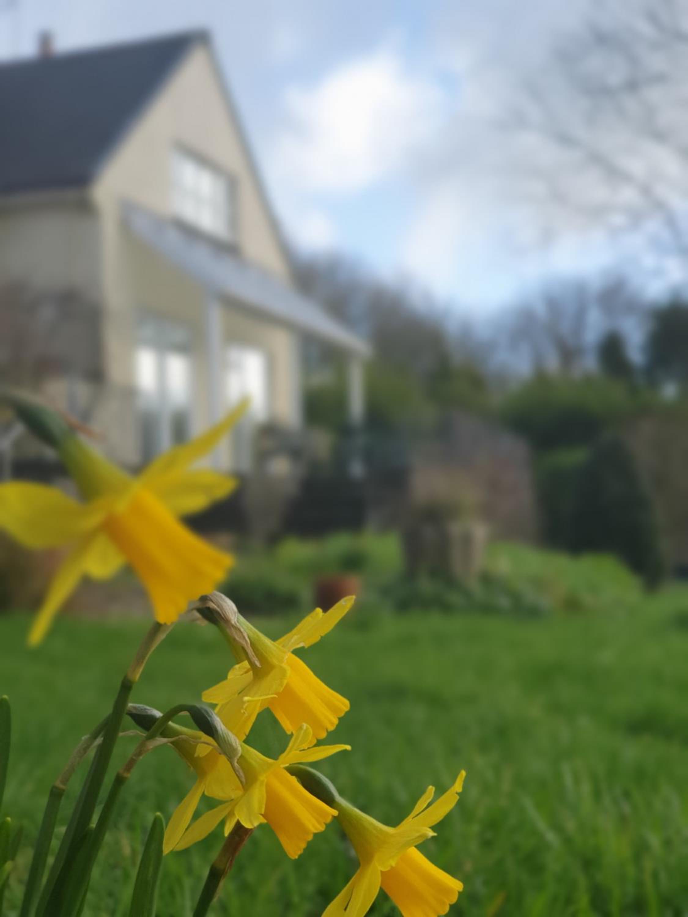 Escape to Pembrokeshire - charming spacious cottage view 3