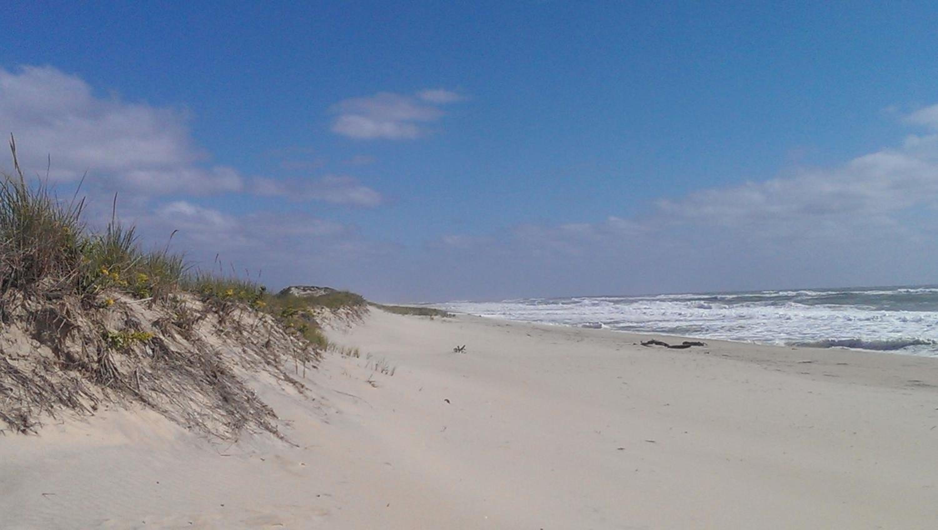 Windward Shores
