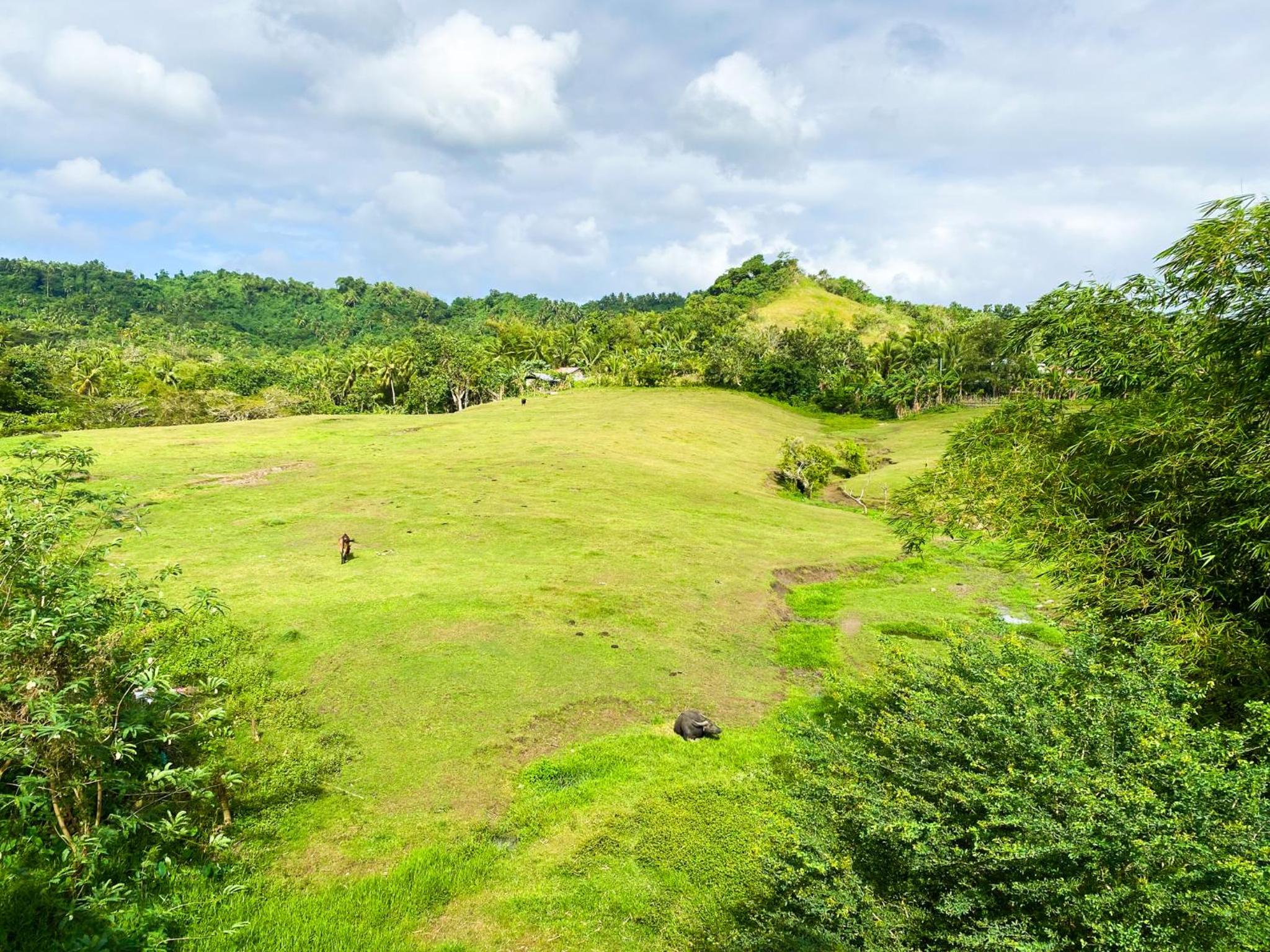 Ronina's Sipocot Hotel view 2