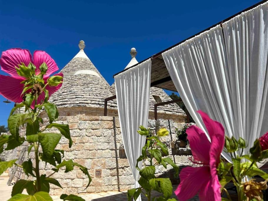 IL TRULLO DI NINNO view 5