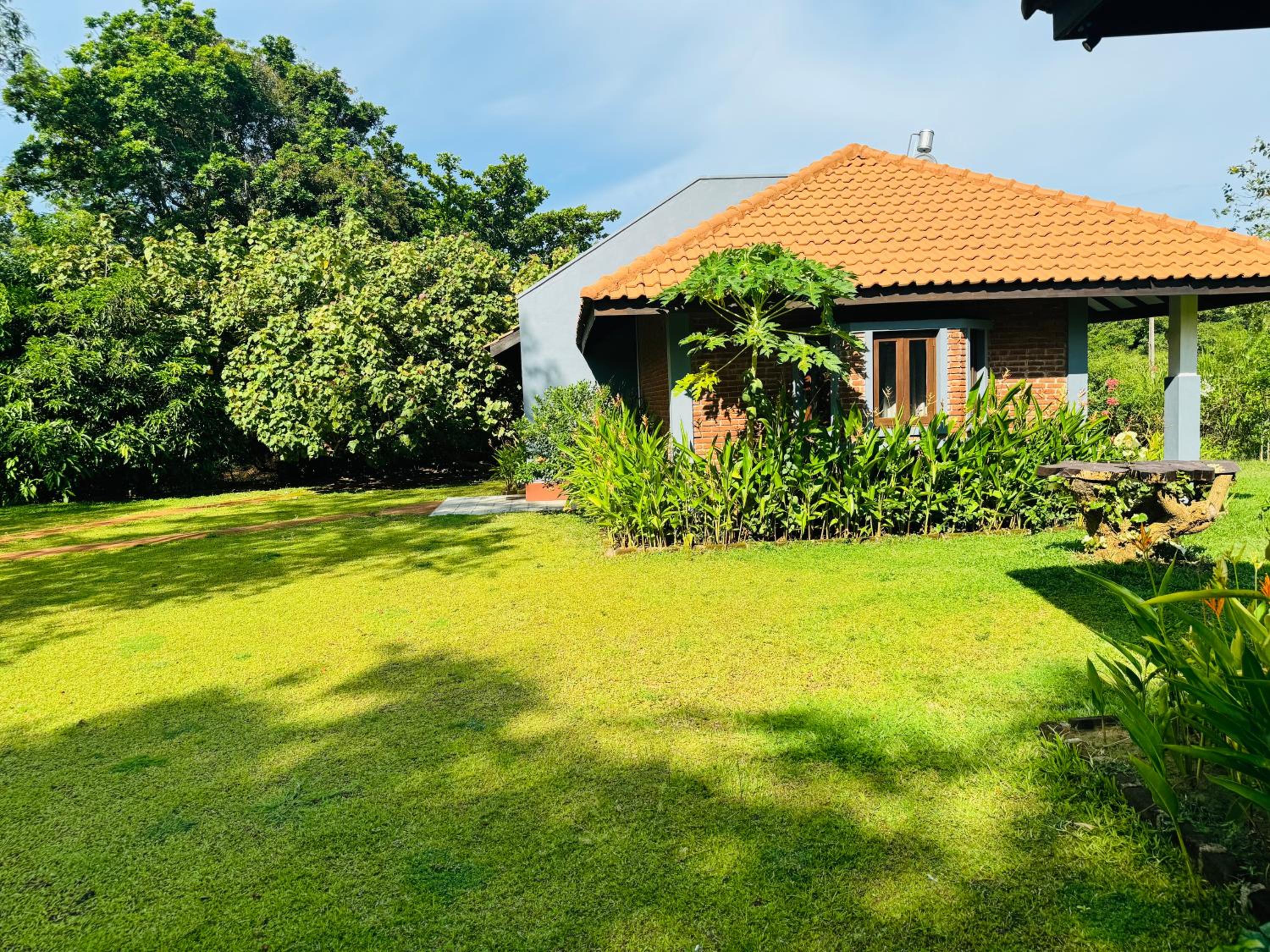 Foresta Resort Sigiriya view 3