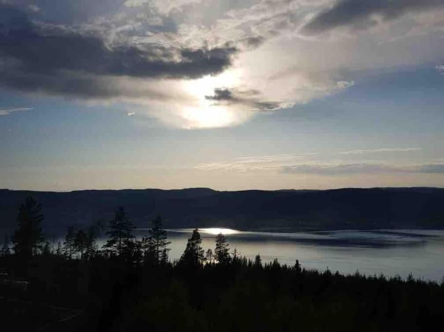 Photo 48