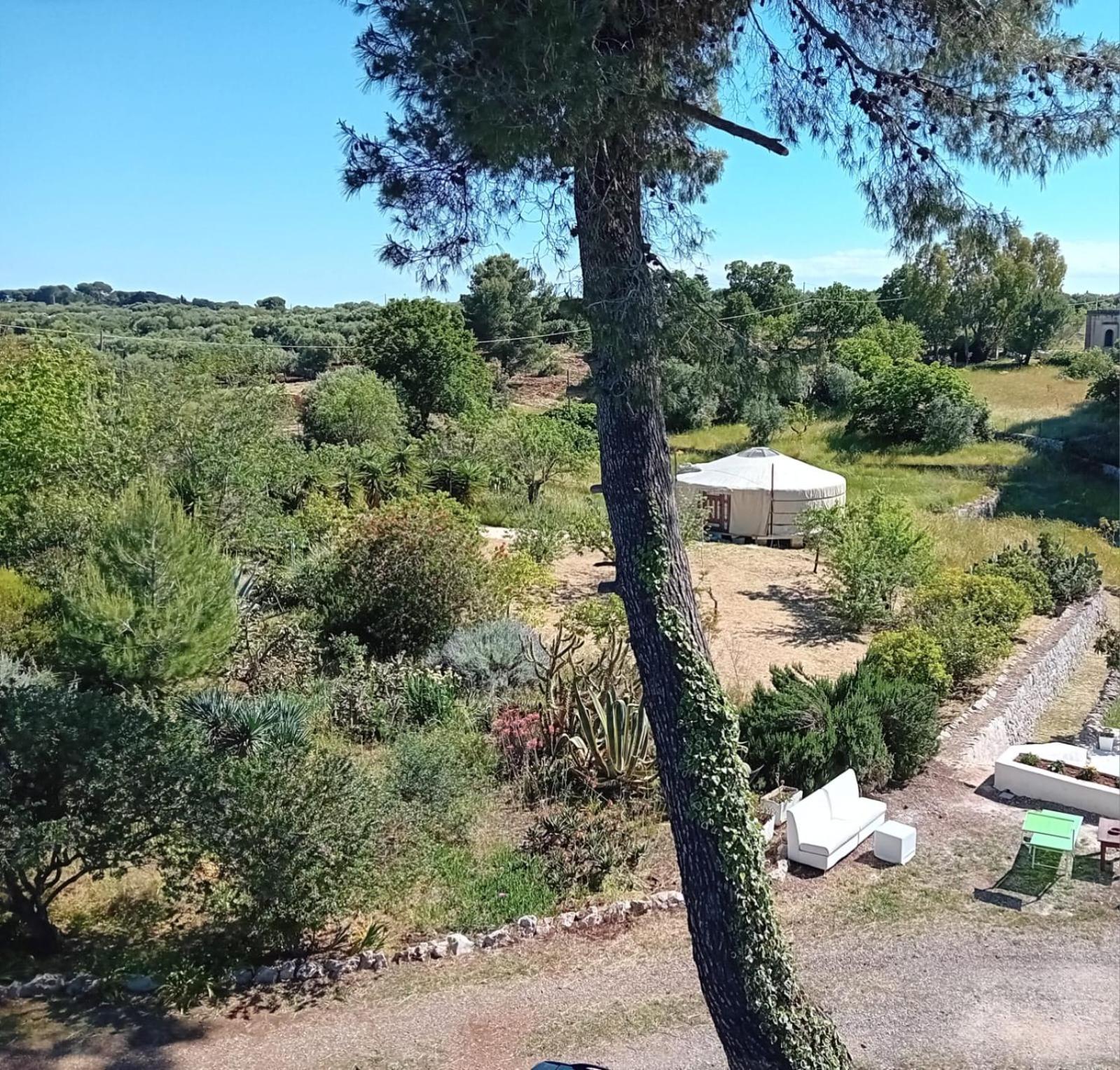 Torre Marinella