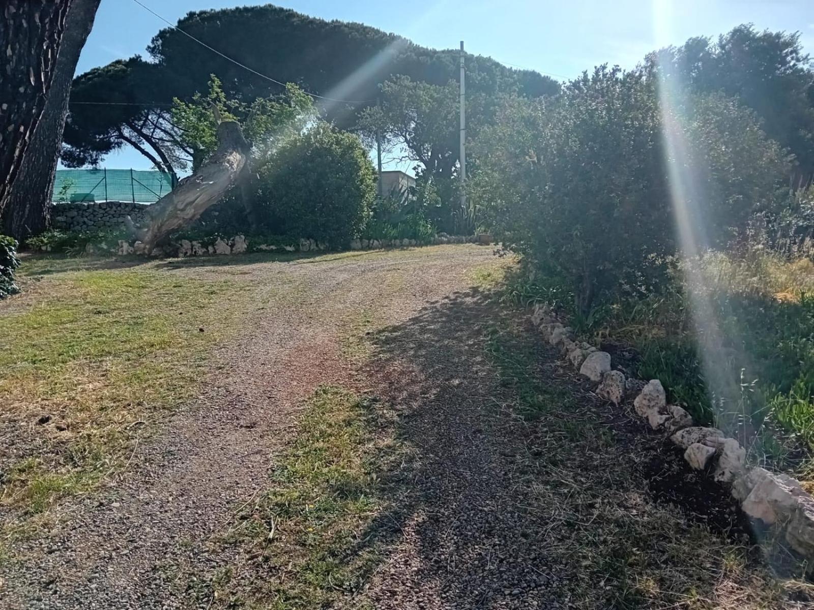 Torre Marinella