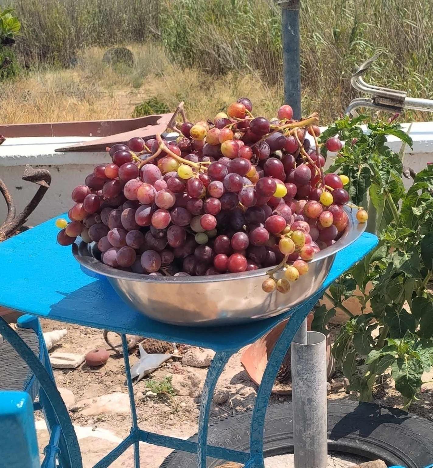 Peristeronas