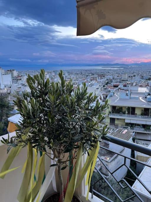 newly built apartment with amazing view