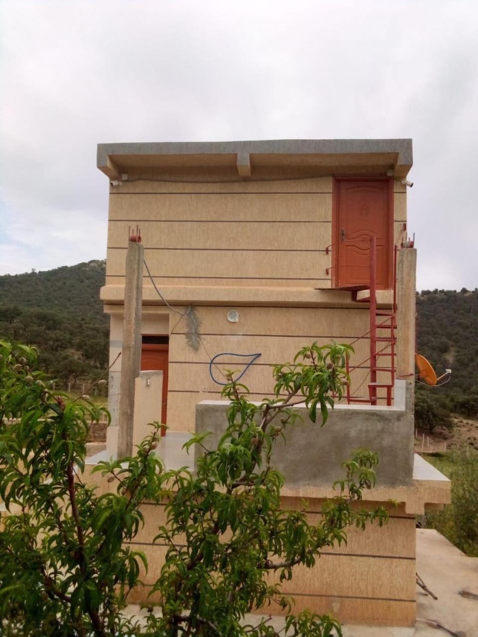 Photo 16