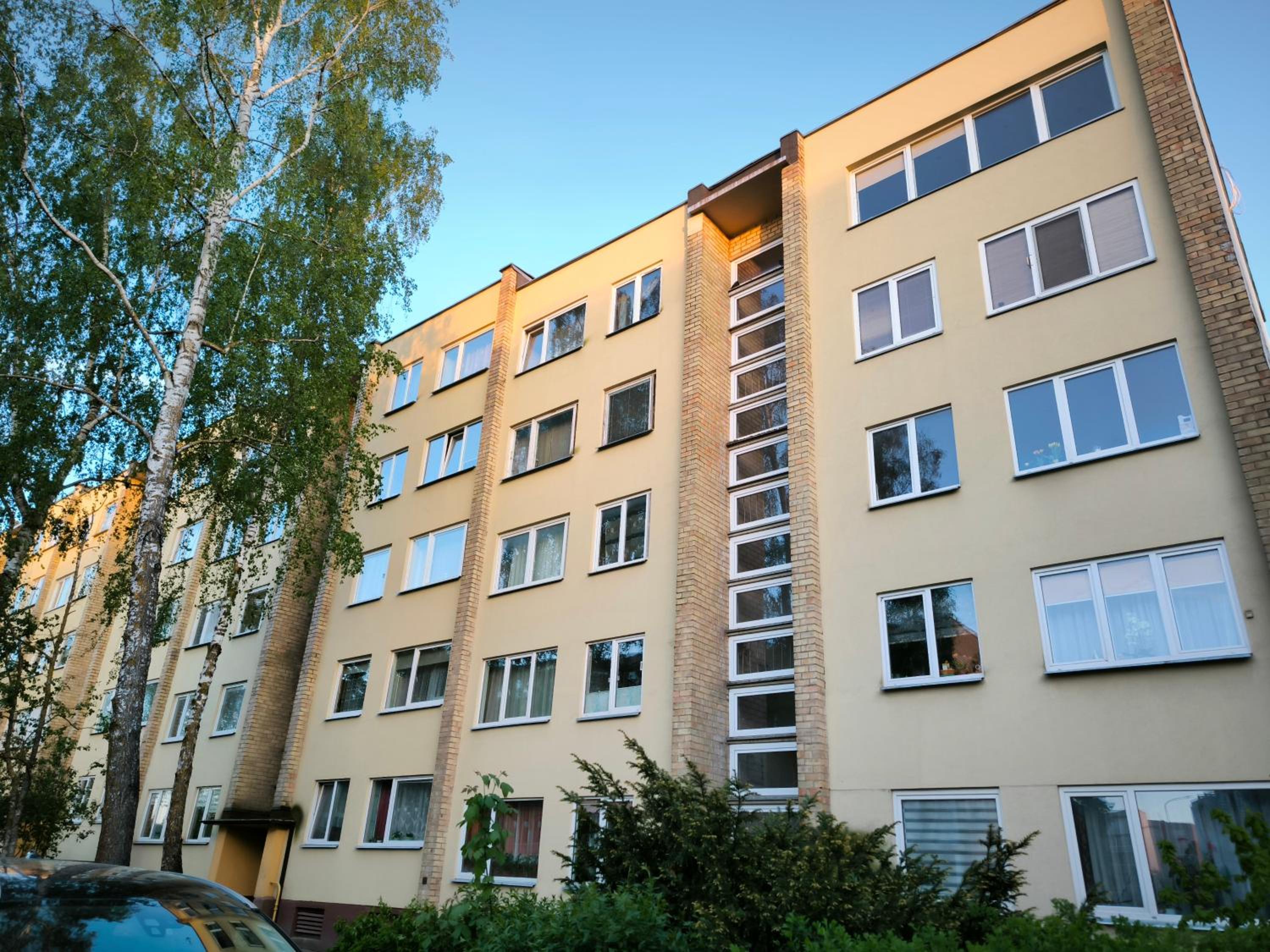 Zokniai