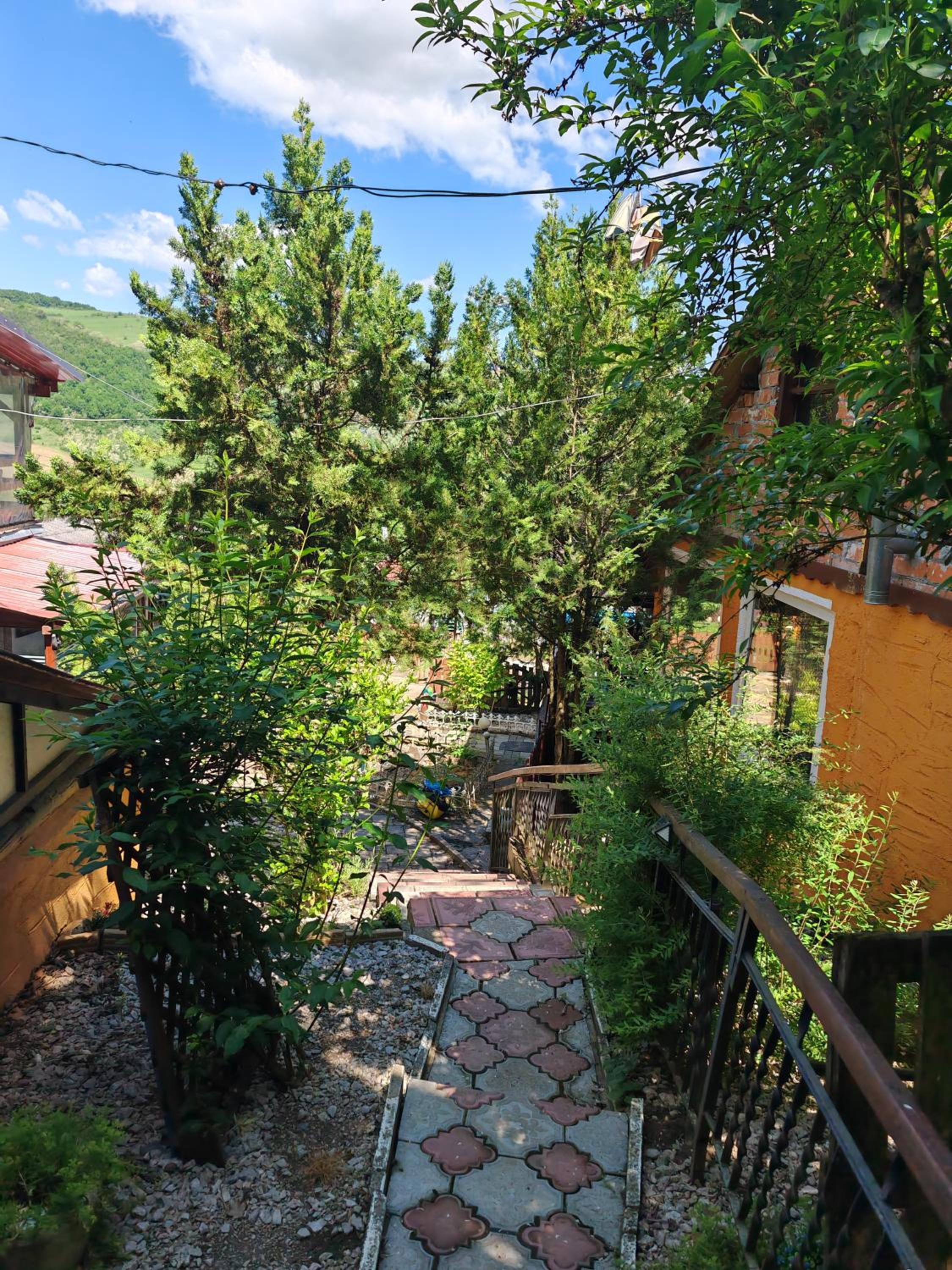 Photo 46