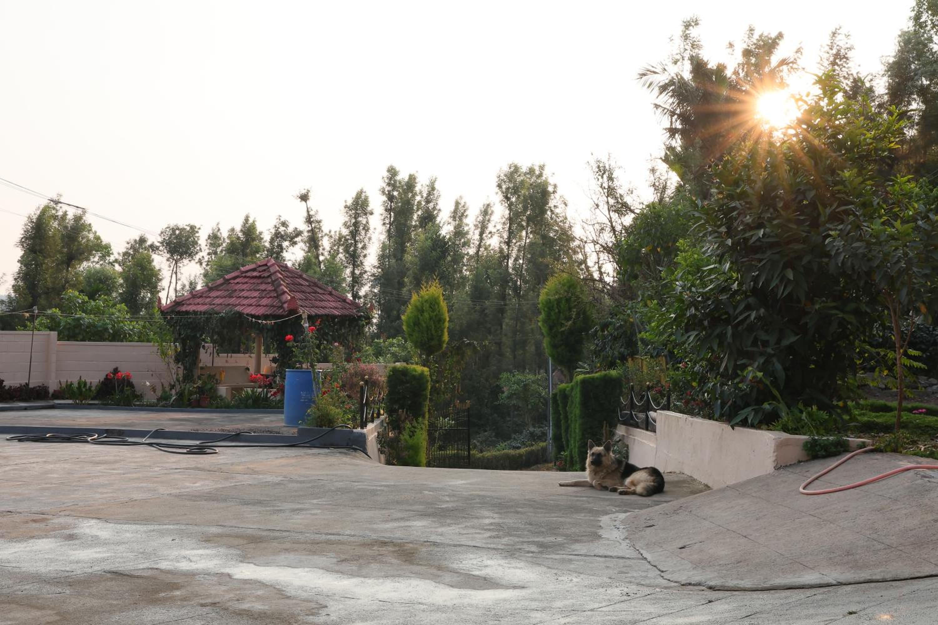 Tottilu Homestay