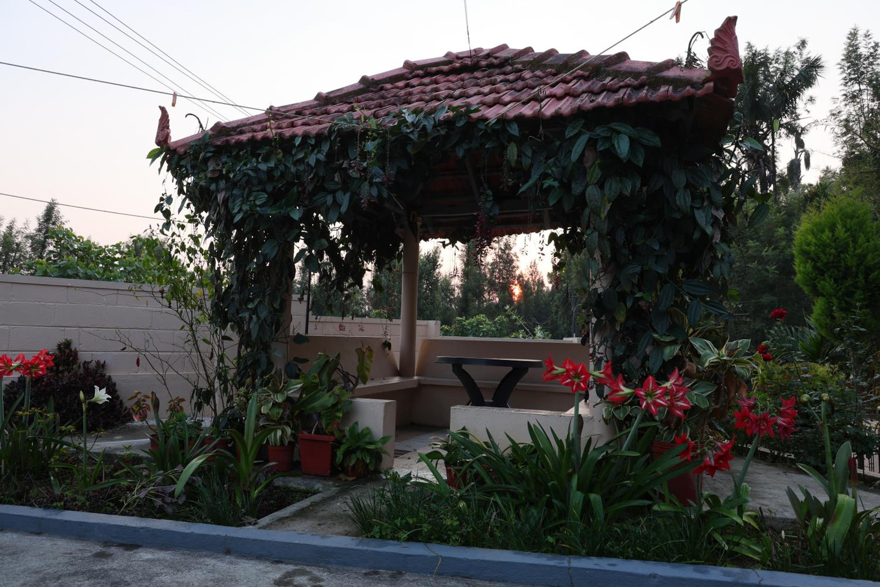 Tottilu Homestay