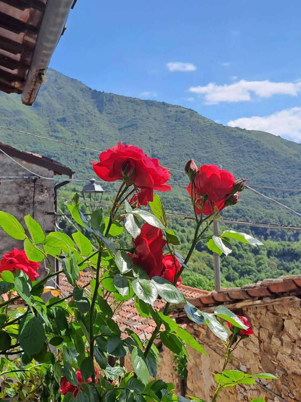 Casa Luisa, relax con vista panoramica