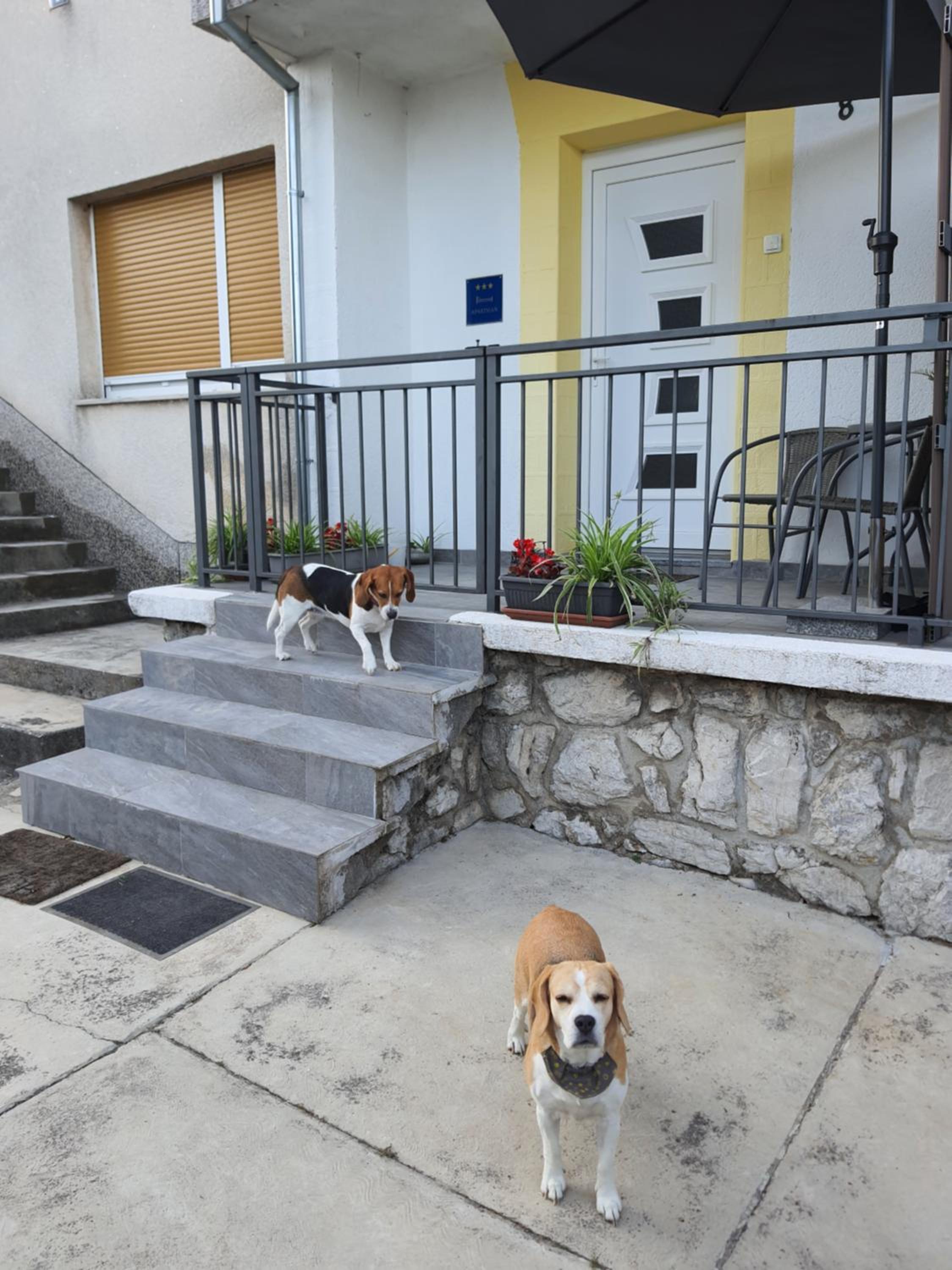 Apartman Sandra