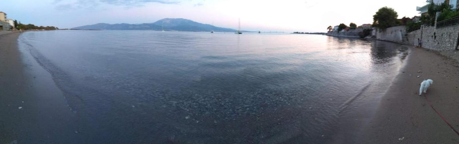 The cozy seaside apartment photo 5