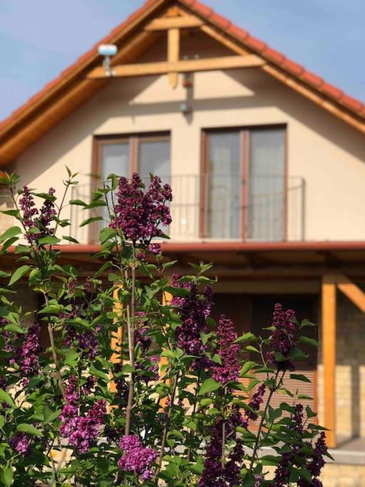 Stylish holiday house close to the beach view 2