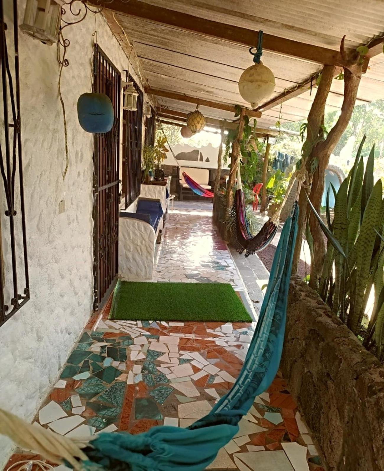 Photo 7