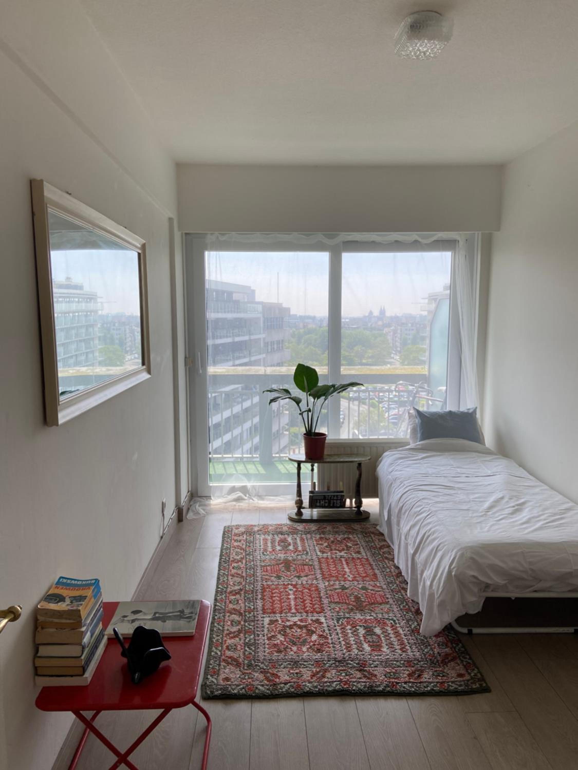 Charmant & licht appartement met groot L terras - Zicht op Mercator