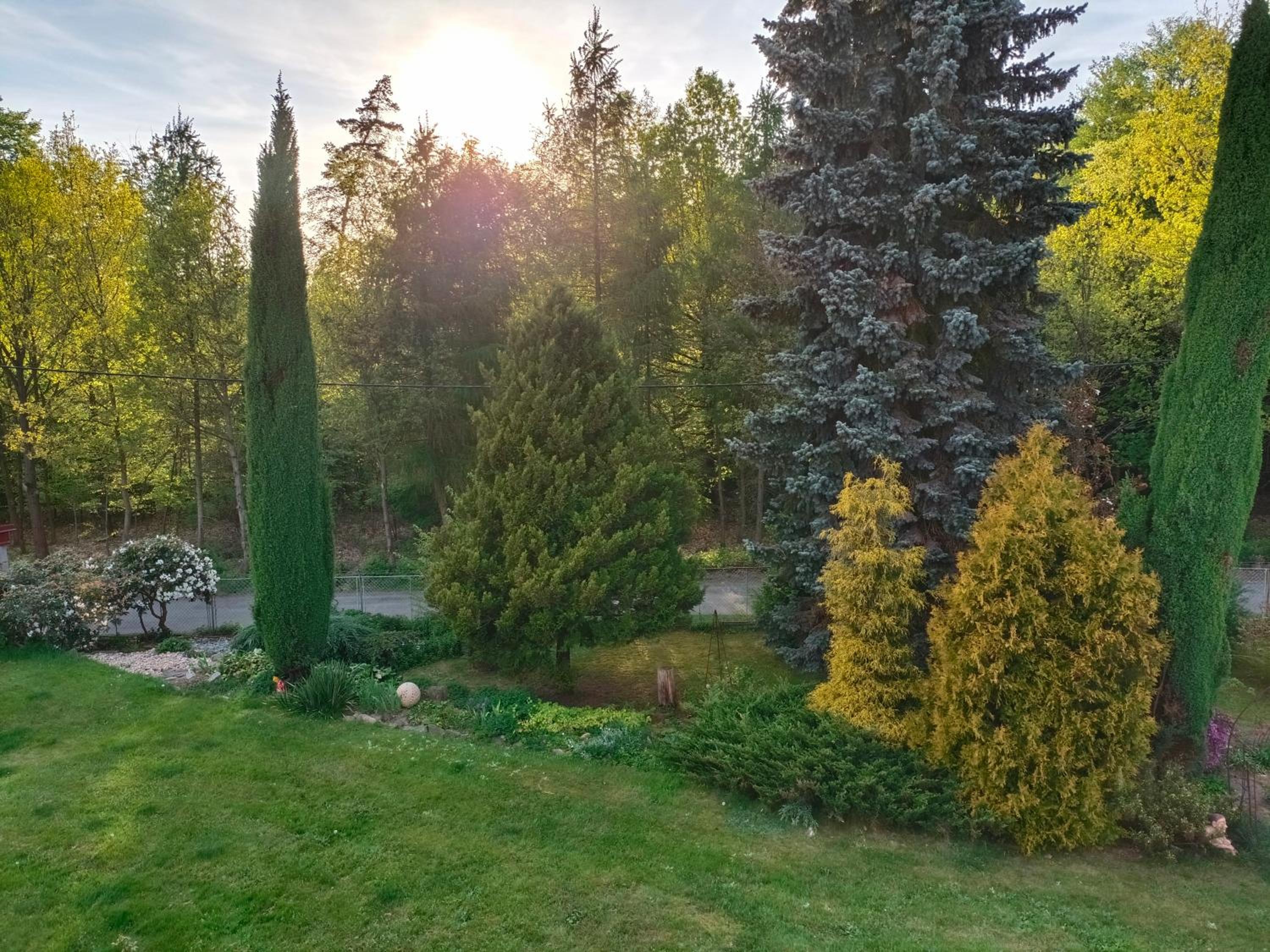 Apartmán za lesem
