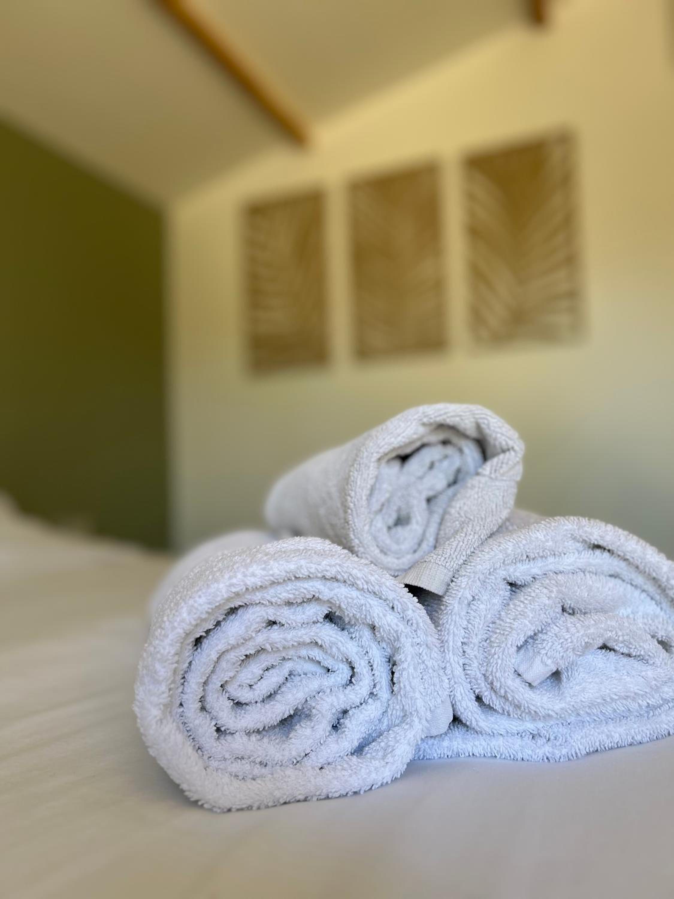 Le Patio, chambres d hôtes pour adultes en Camargue, possibilité de naturisme à la piscine,, photo 22