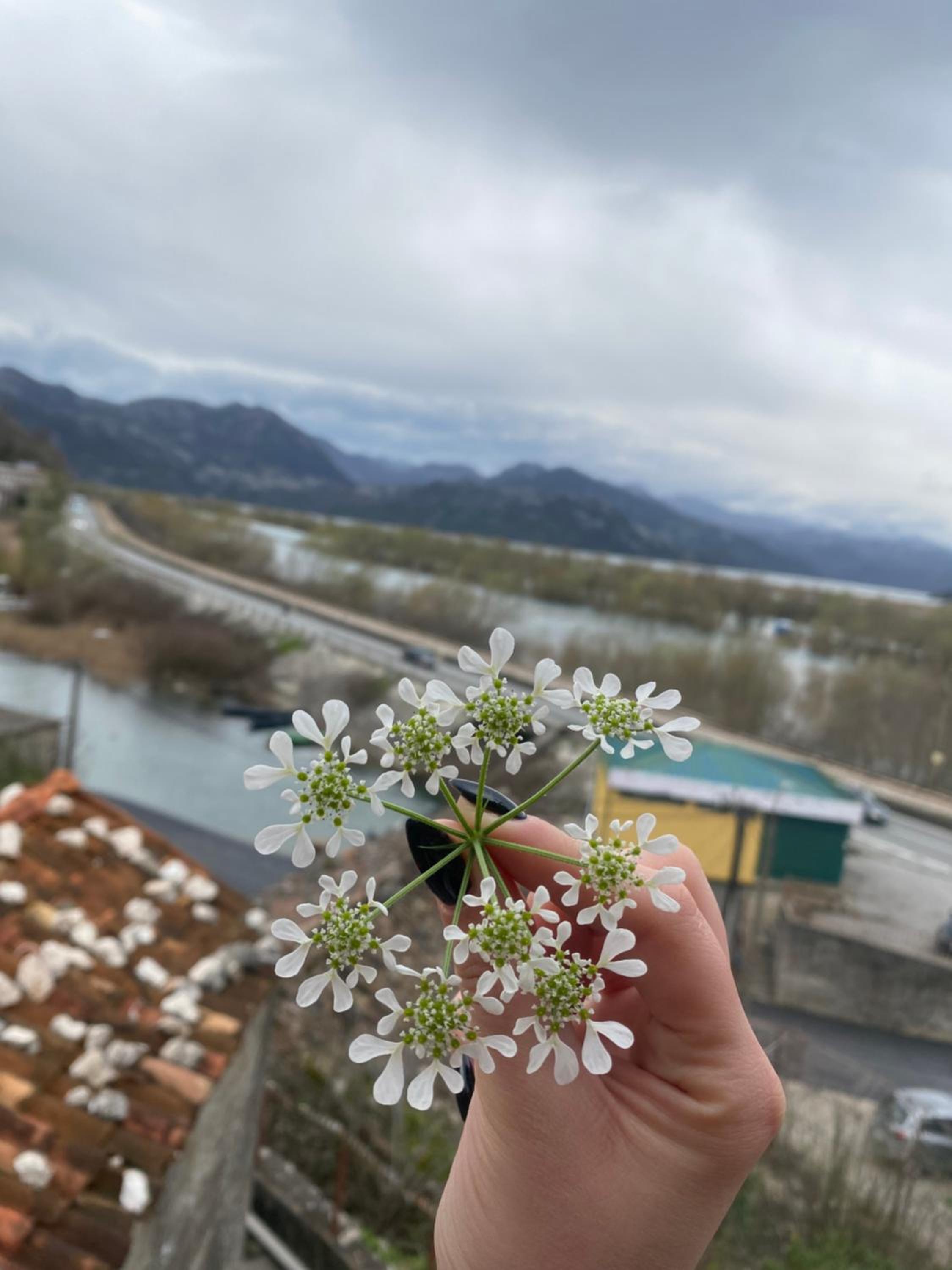 Gazivoda apartman
