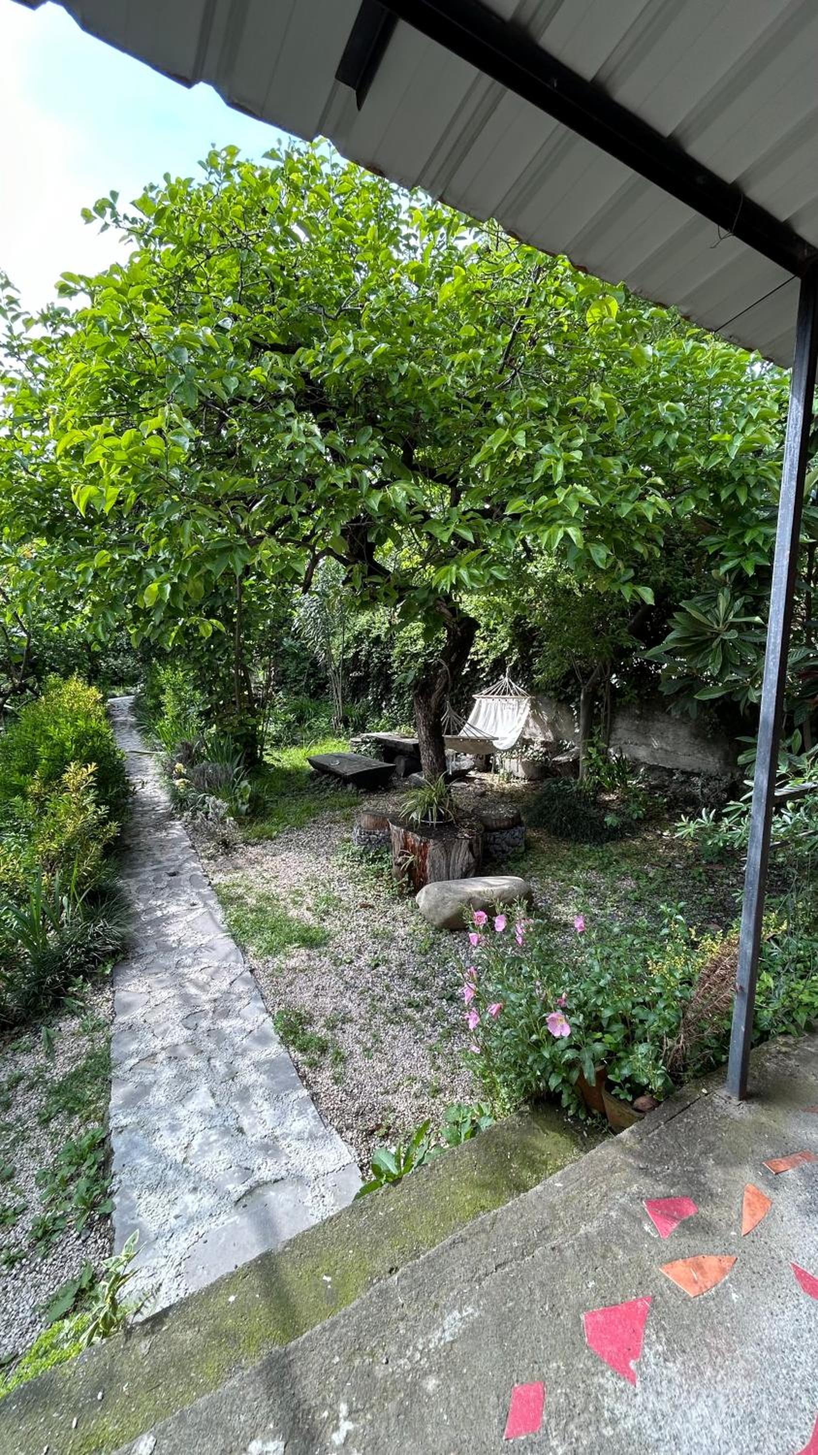 Photo 20