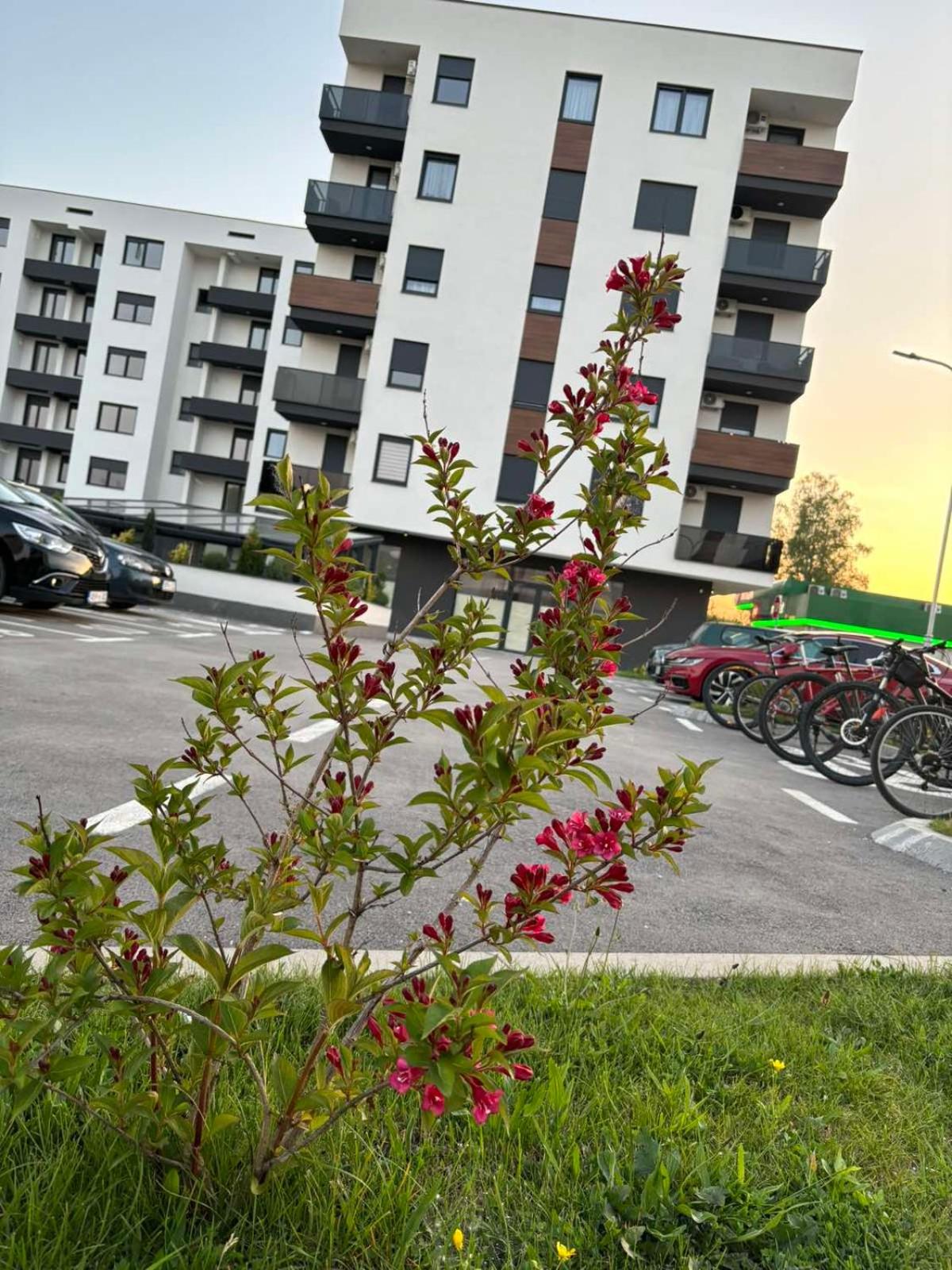 Apartman Bjanka
