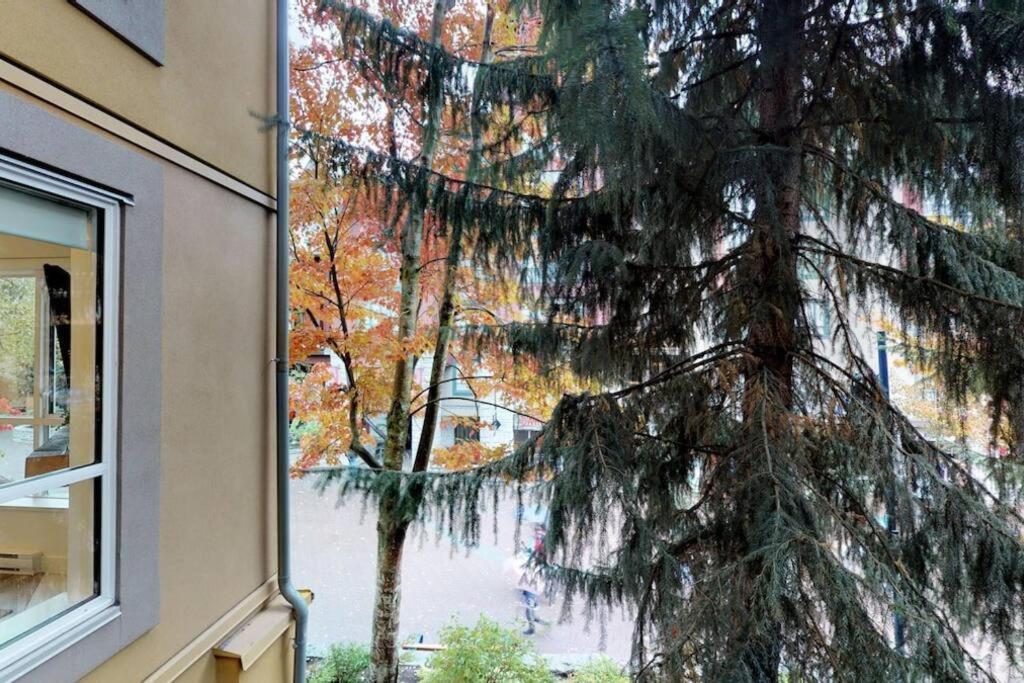 Bear Lodge, Whistler Village - Spectacular Location on Village Stroll, Designer Remodel