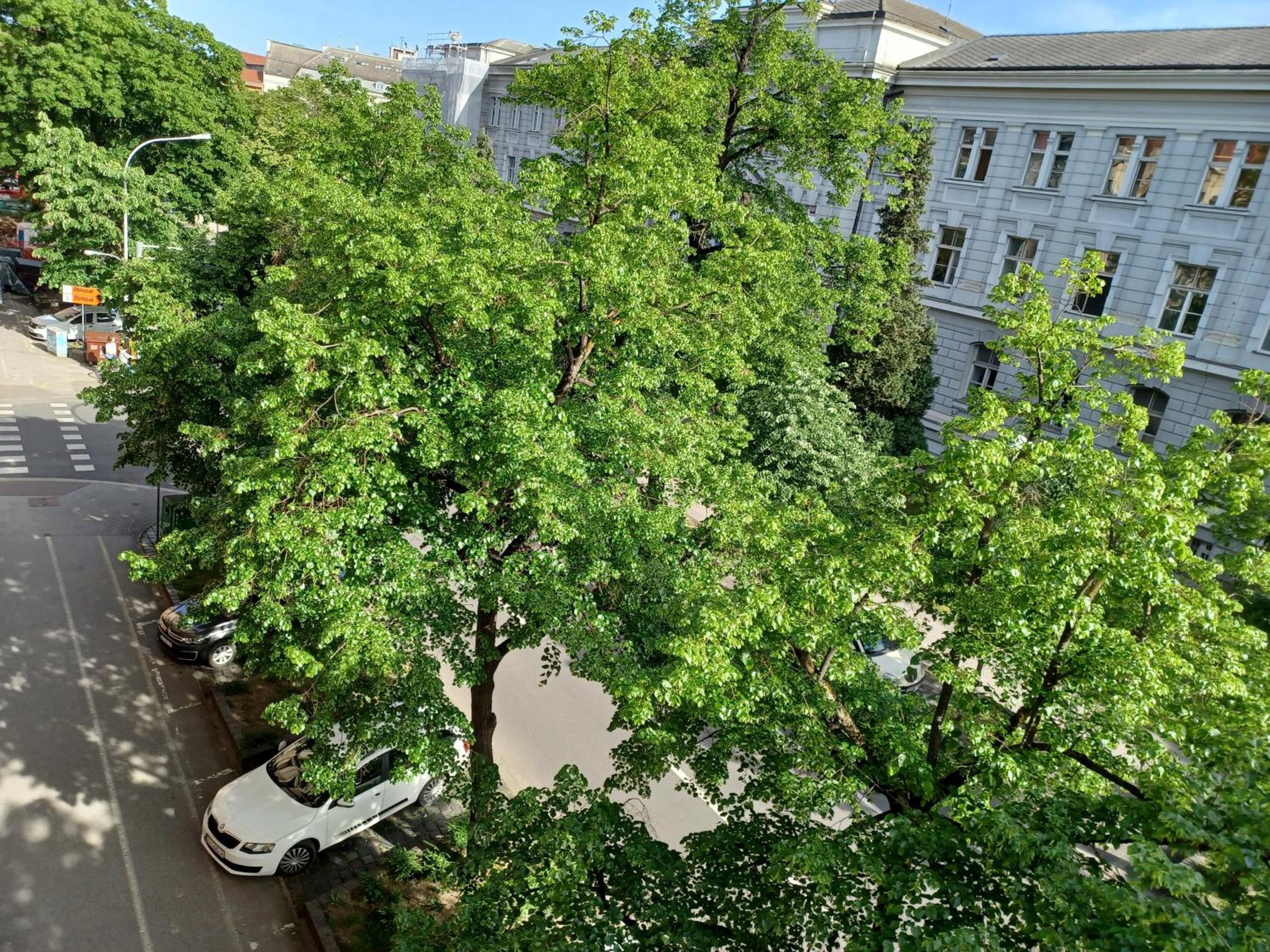 Apartment Theatrum