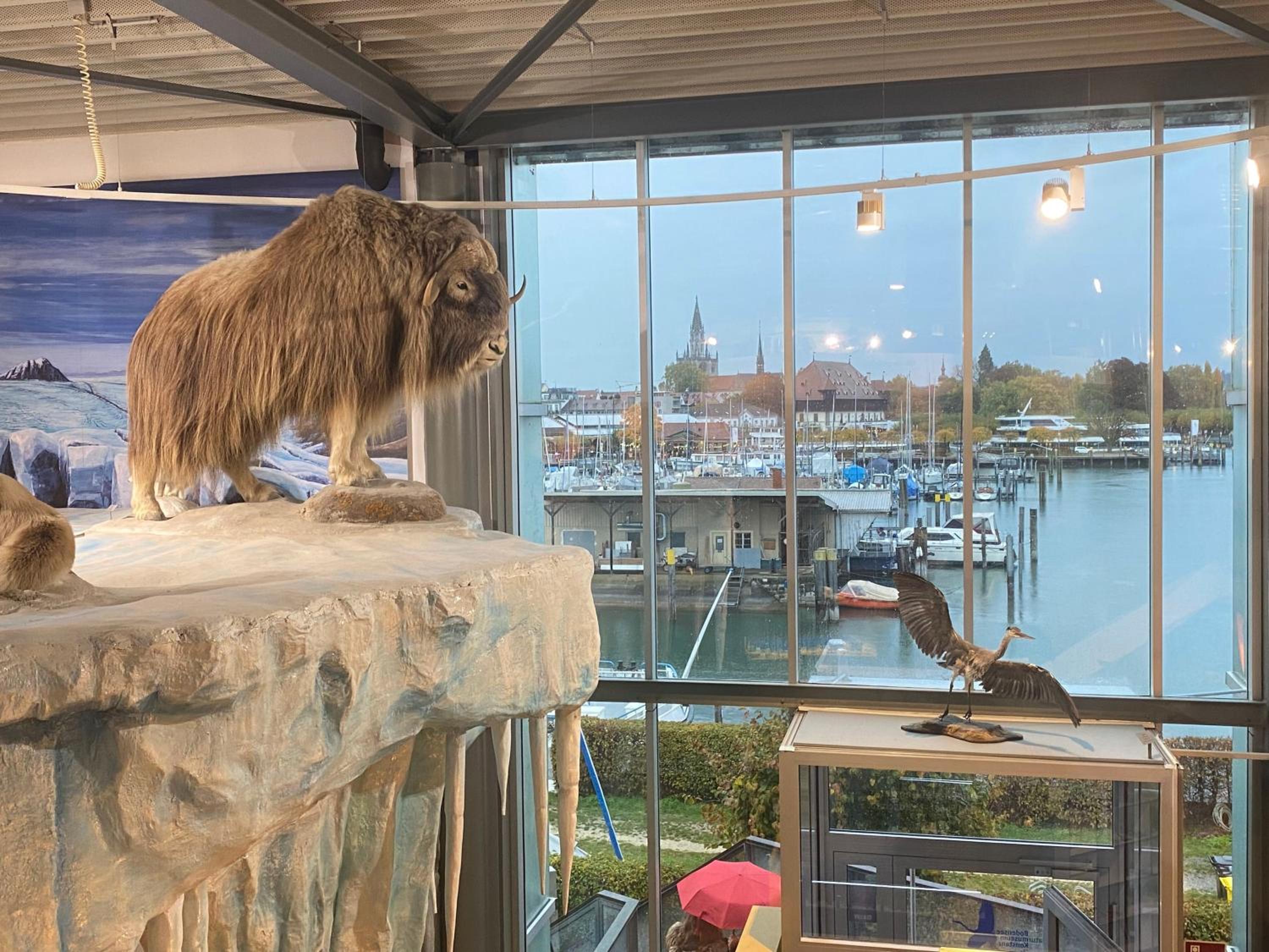 Altstadtliebe Konstanz - harmonischer Luxus