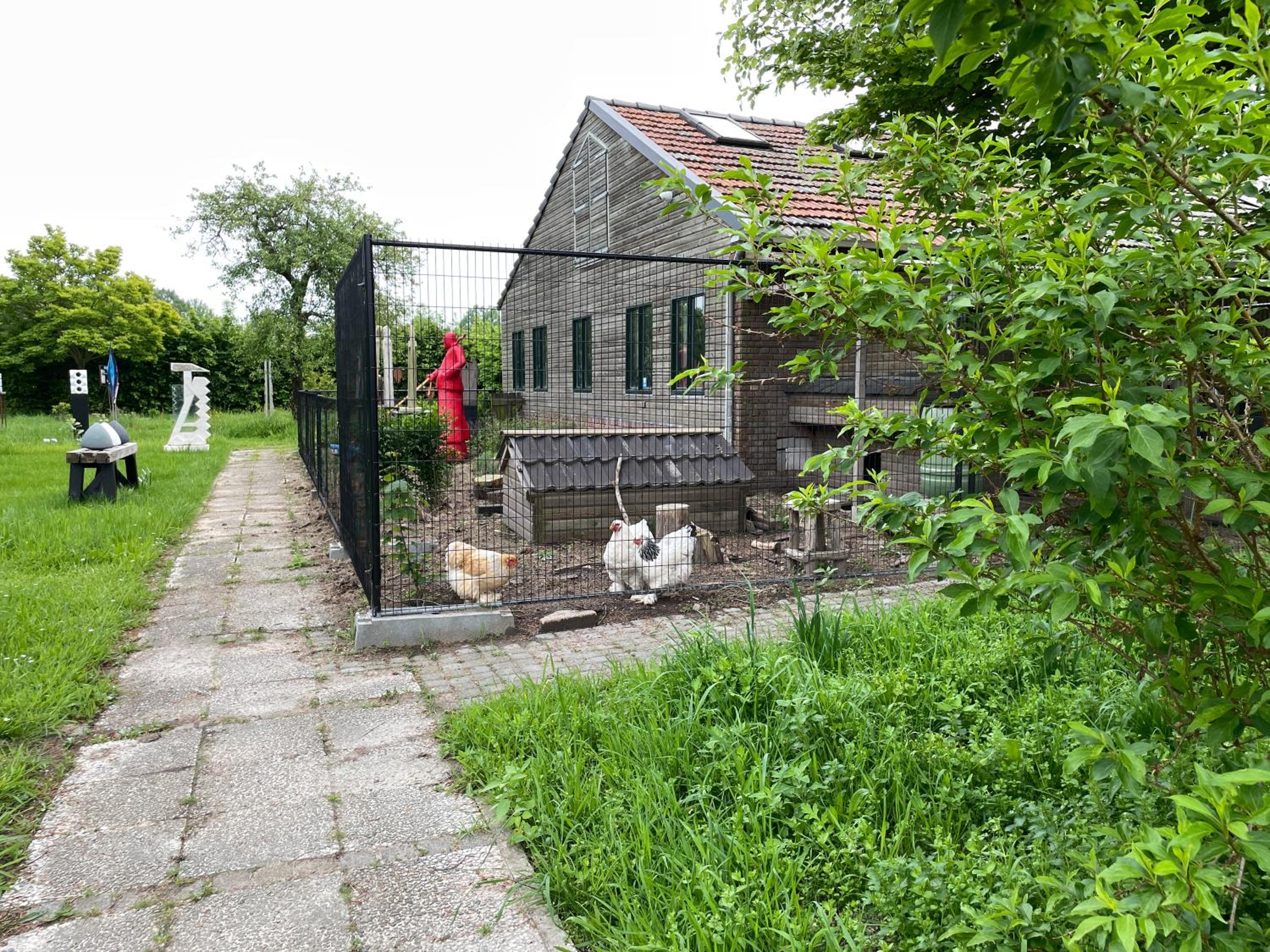 Photo 35