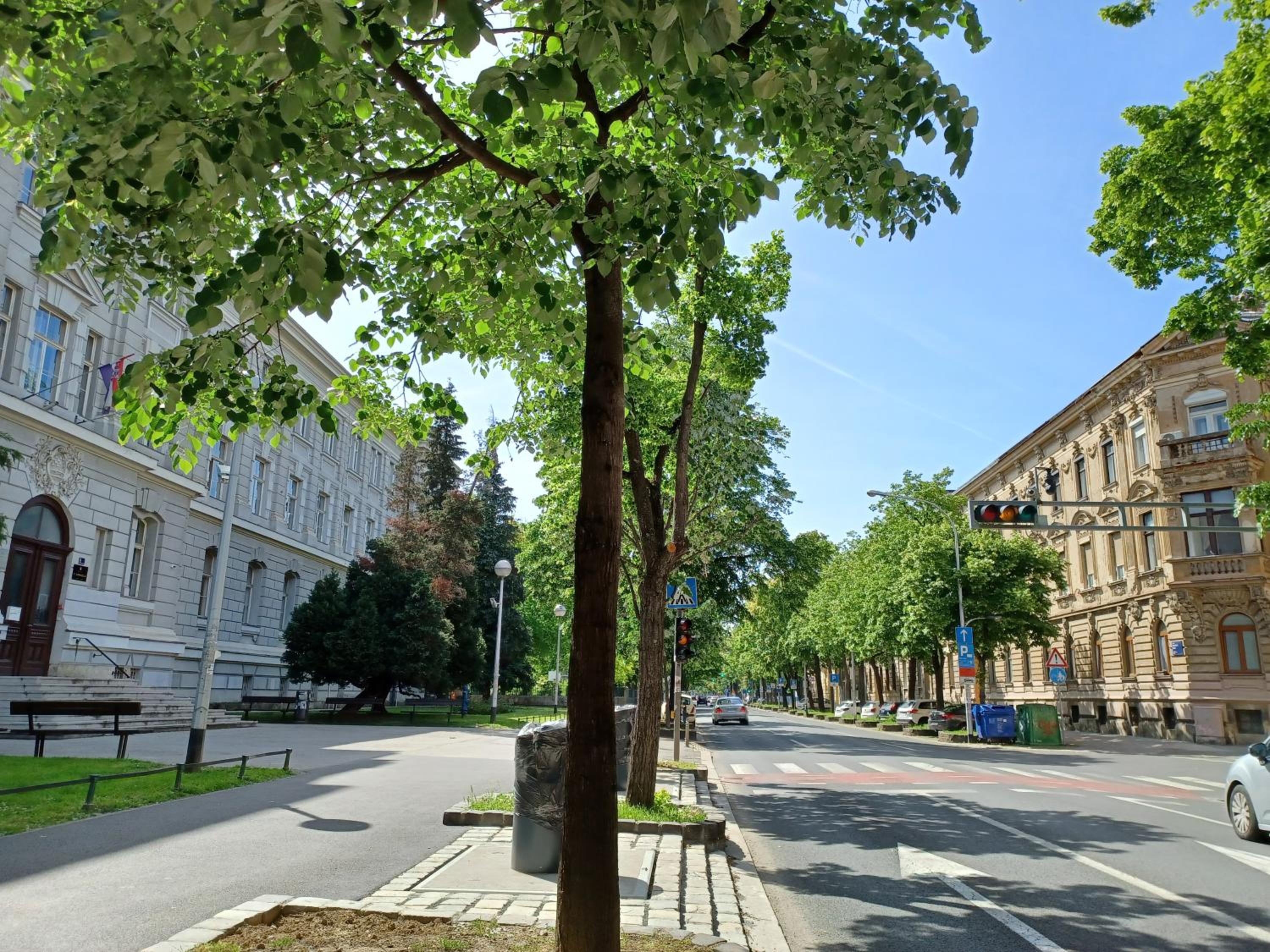 Apartment Theatrum