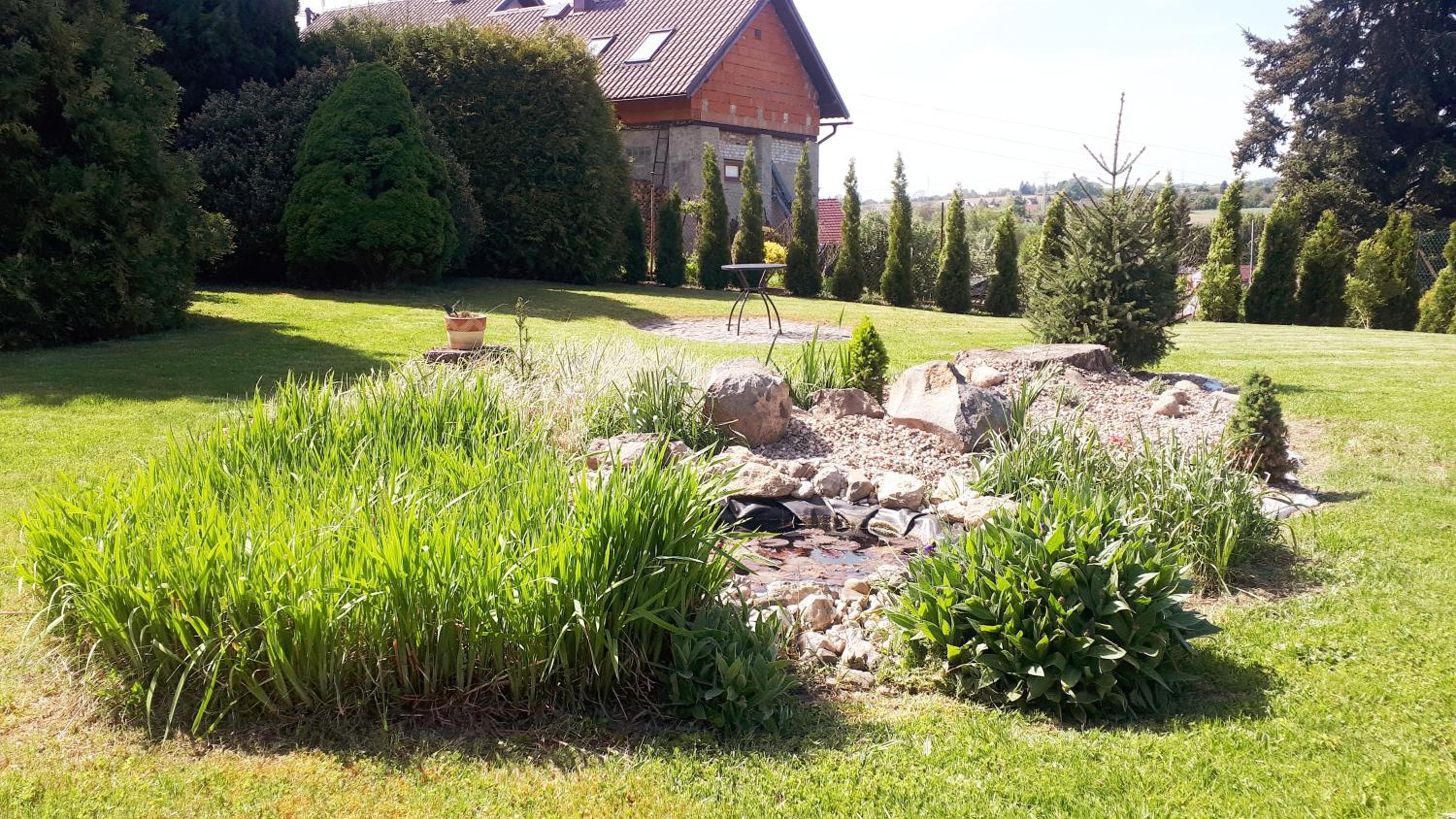 Photo 13